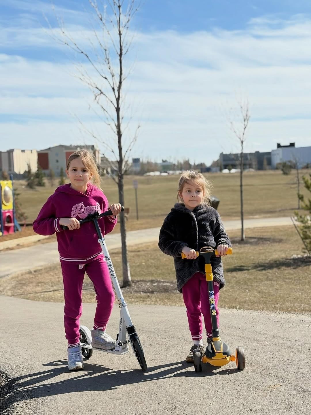 Kick Scooter for Kids & Adults, Adjustable Height, Foldable, 240 LBS Max Load, 86