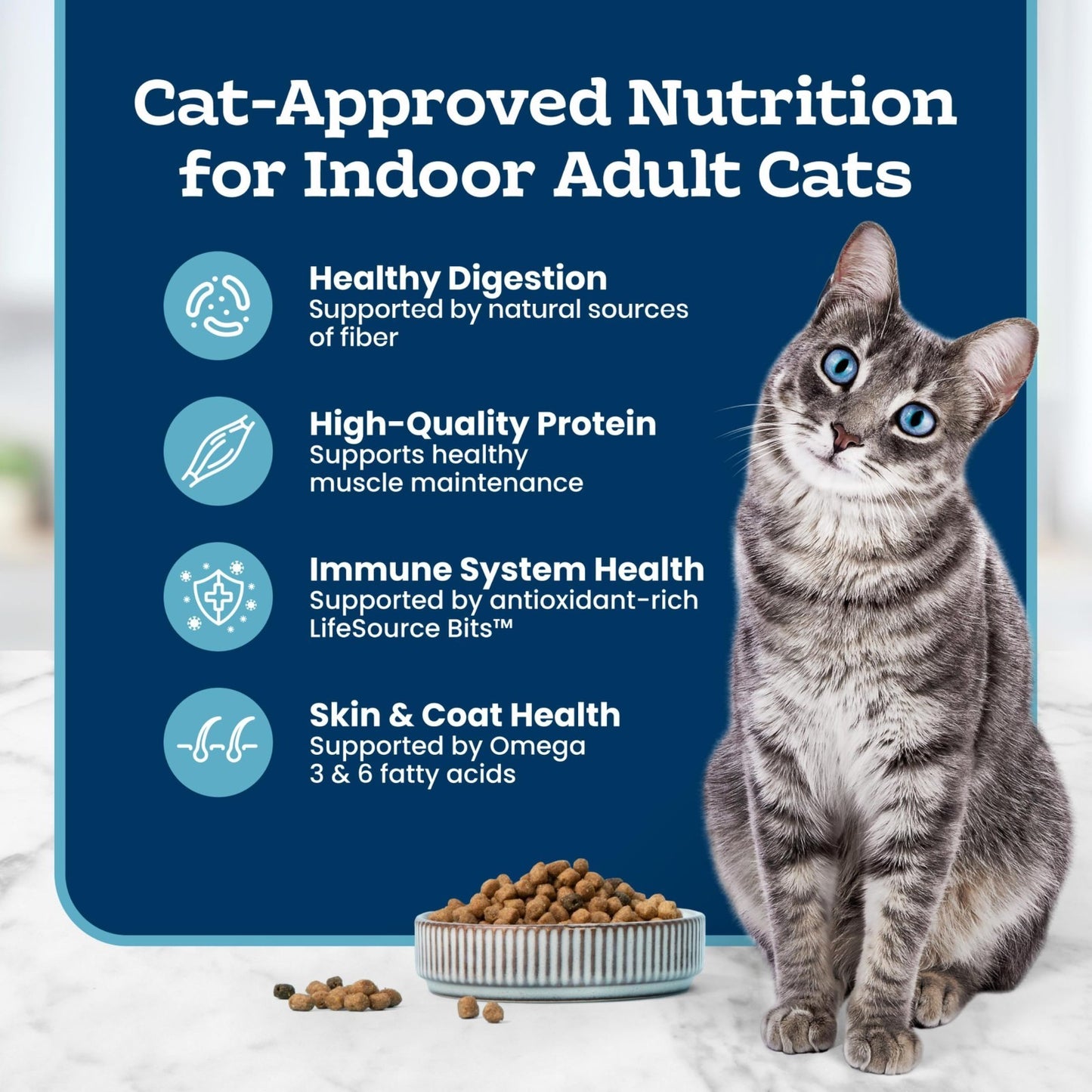 Sensitive Stomach Dry Cat Food   Chicken Flavor, 7 lb   Adult Formula for Cats5