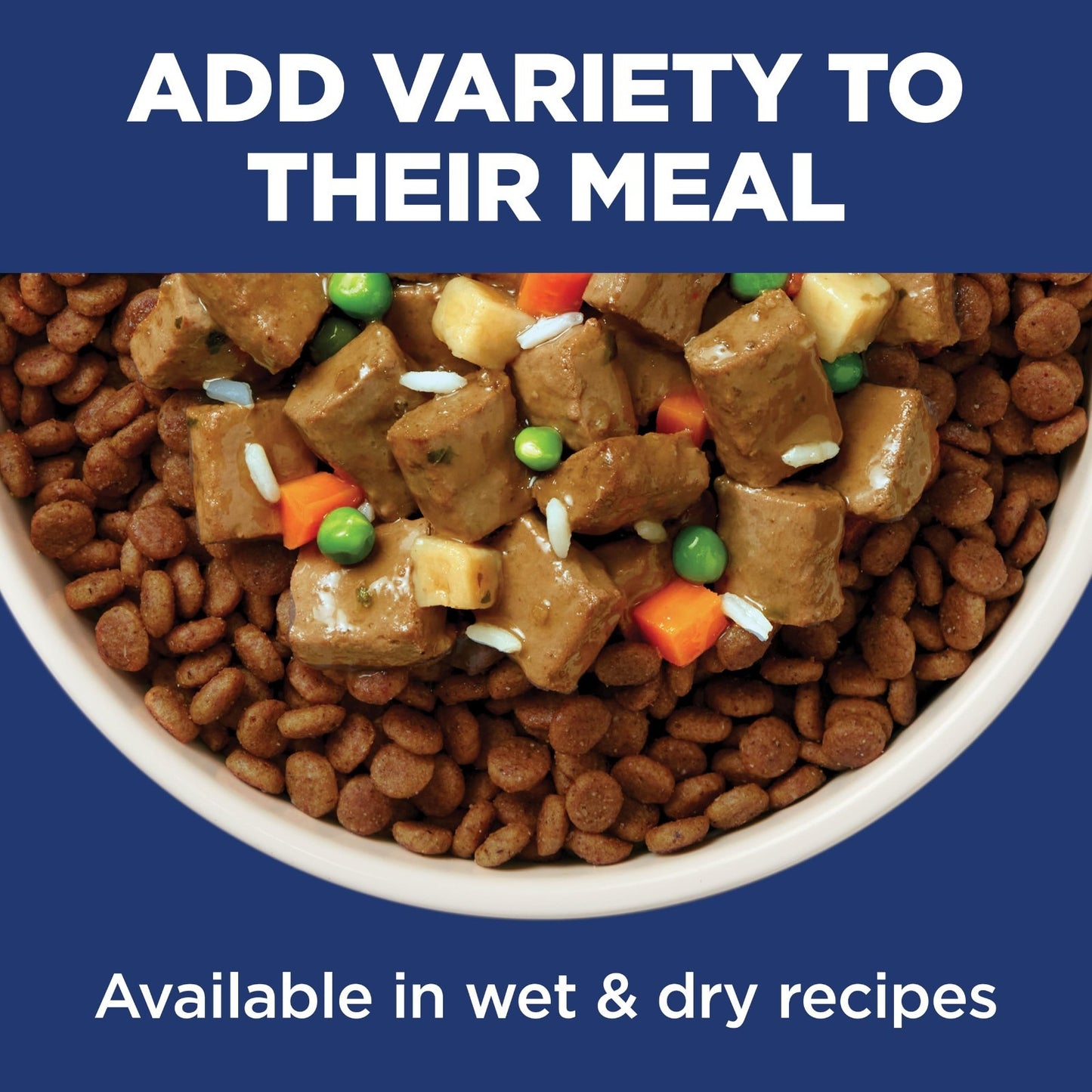 Premium Small & Mini Dry Dog Food for Adults 1 6 Years   Healthy Nutrition, Grai8