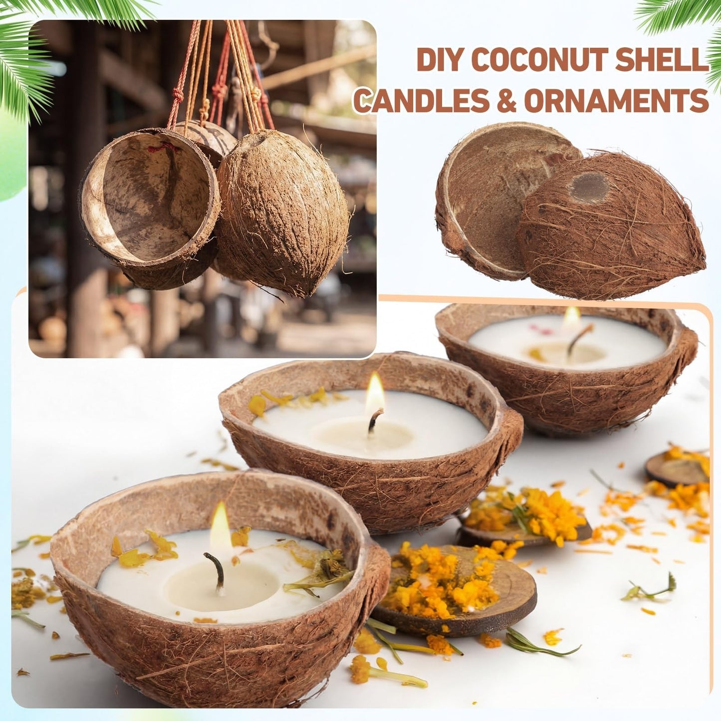 24 Pcs Natural Coconut Shell Bowl Halves - Smooth Bottom Craft Material & Decor5