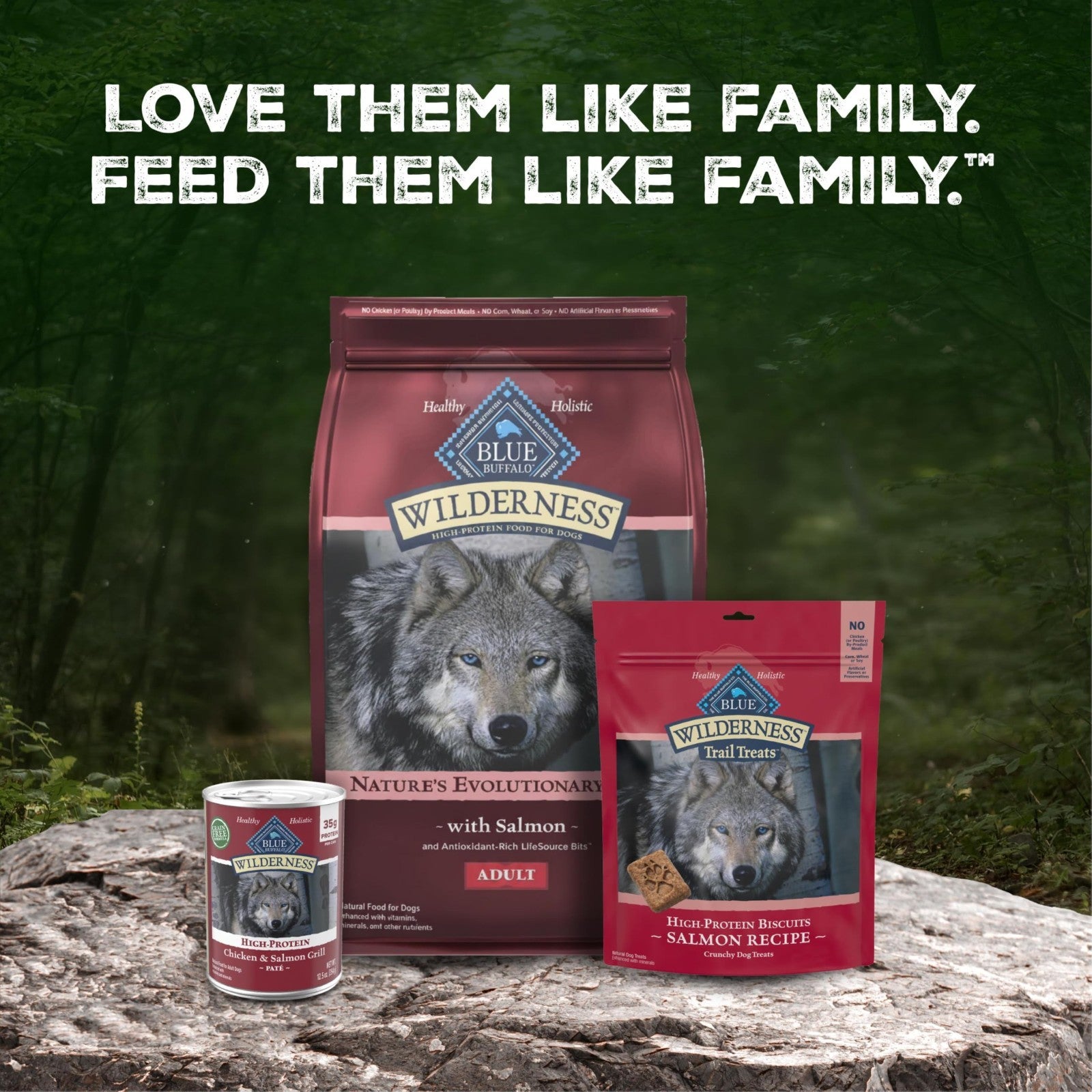 Grain Free Salmon & Wholesome Grains Adult Dry Dog Food, 13 lb   High Protein, N8