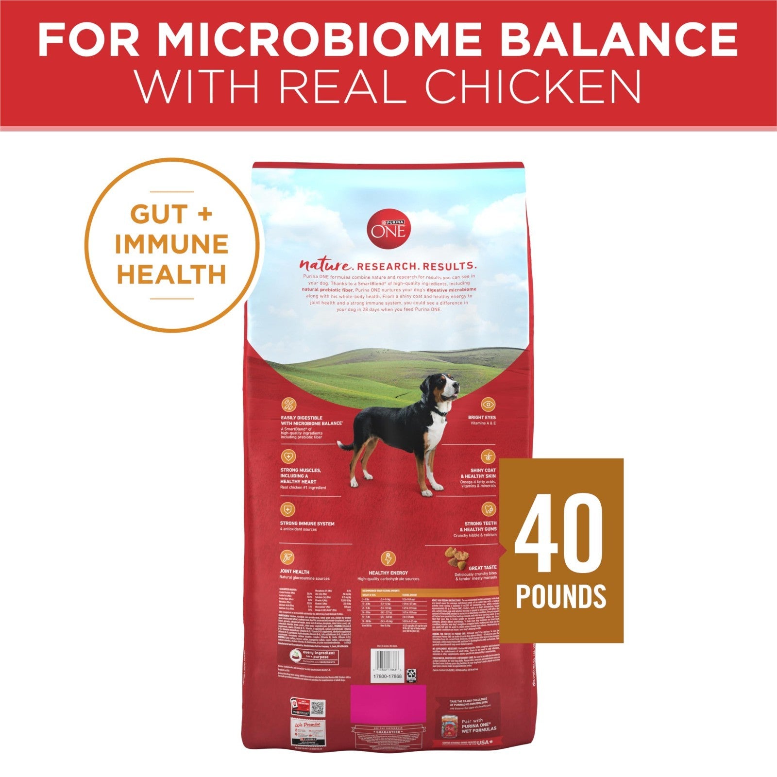 Premium Chicken & Rice Dry Dog Food, 40 lb Bag   Nutrient Rich, Healthy Formula6
