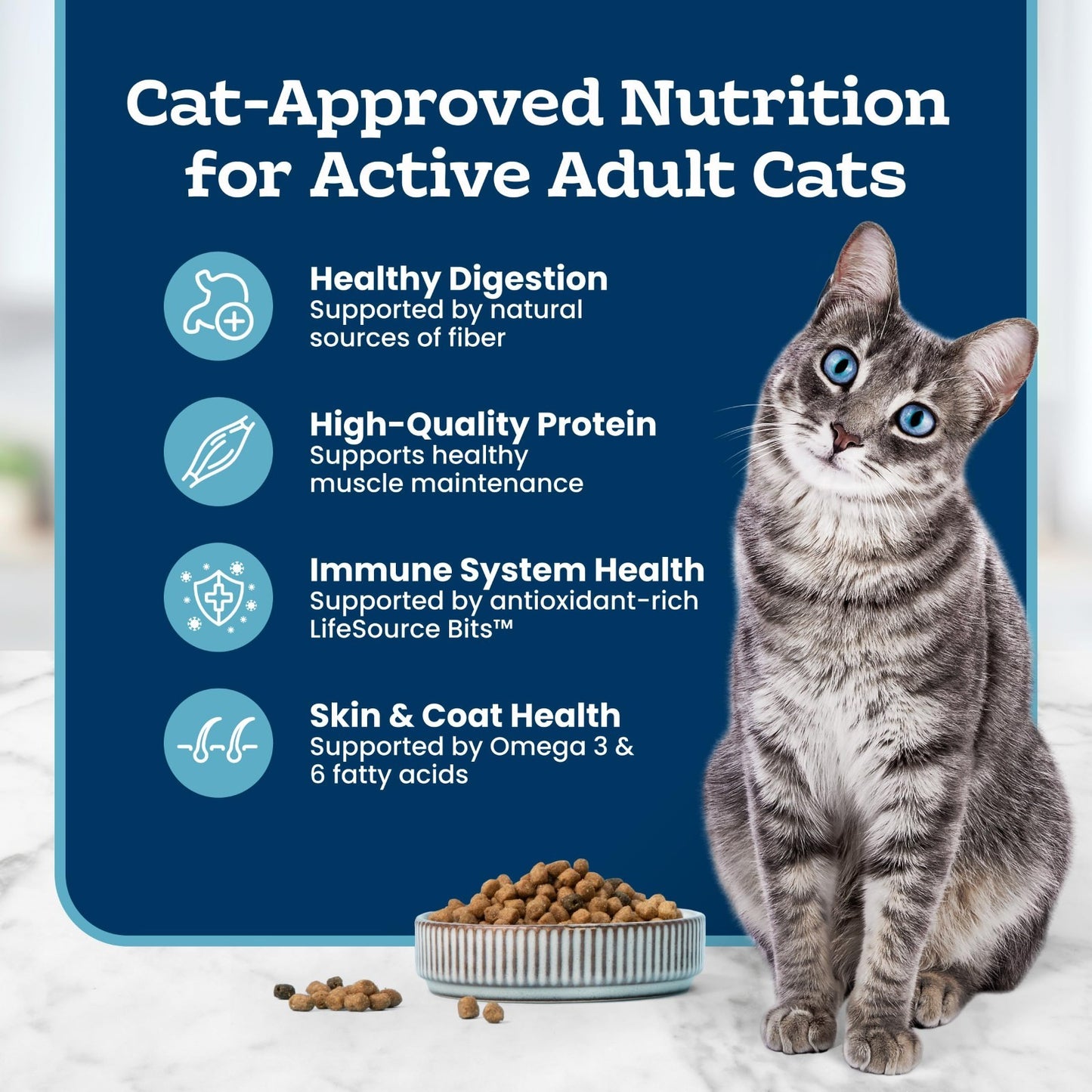 Premium Chicken & Brown Rice Dry Cat Food, 15 lb   Healthy Nutrition for Active5