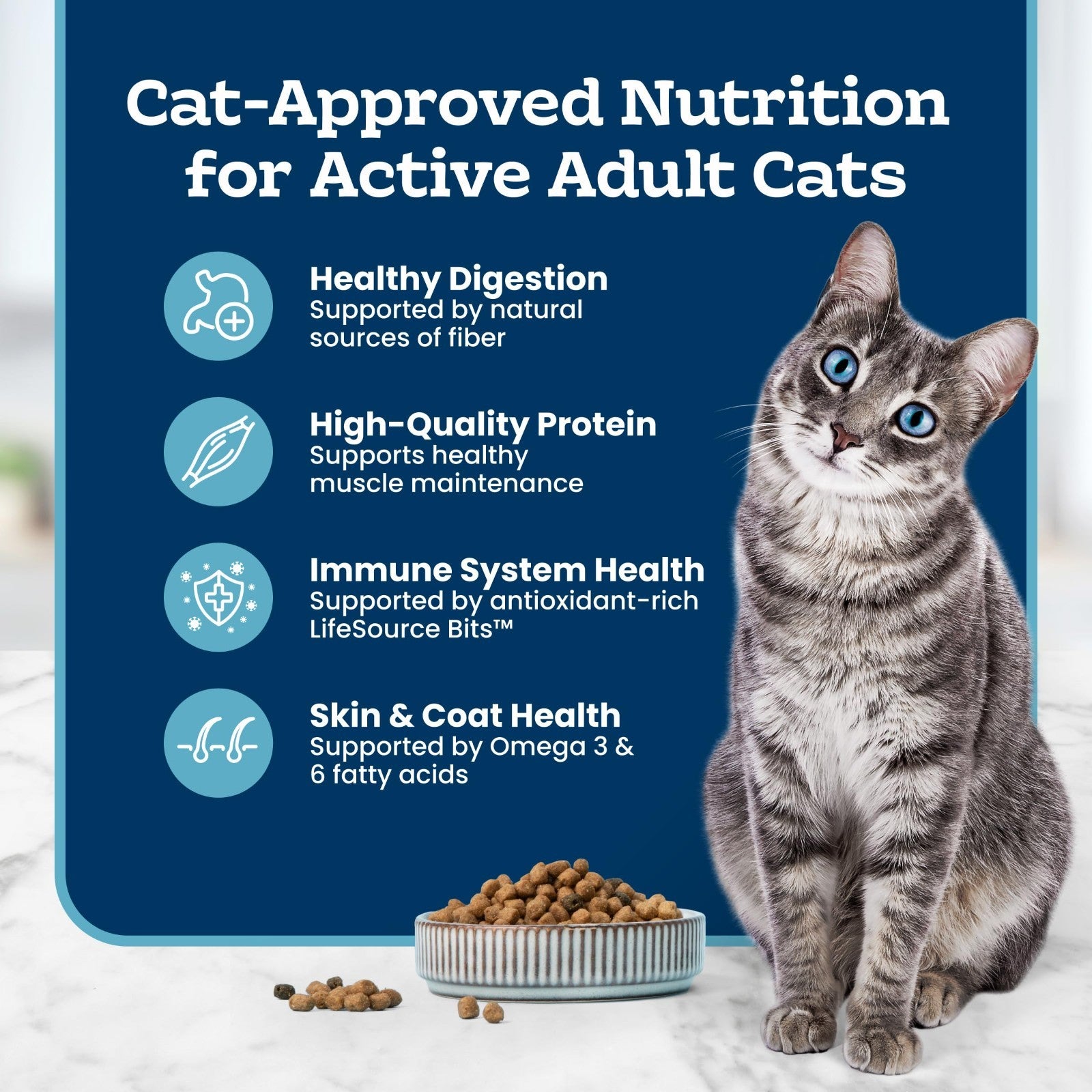 Premium Chicken & Brown Rice Dry Cat Food, 15 lb   Healthy Nutrition for Active5