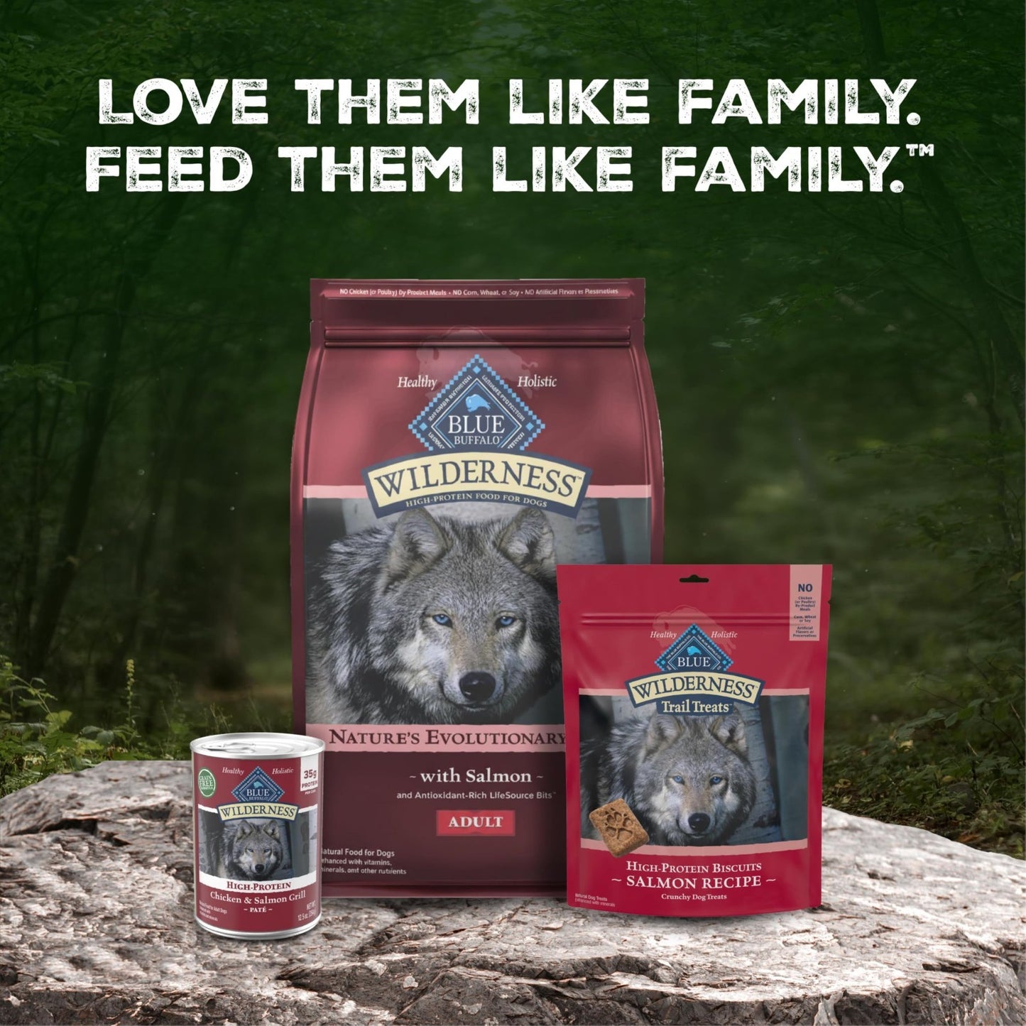 Grain Free Salmon & Wholesome Grains Adult Dry Dog Food, 28 lb   High Protein, H8