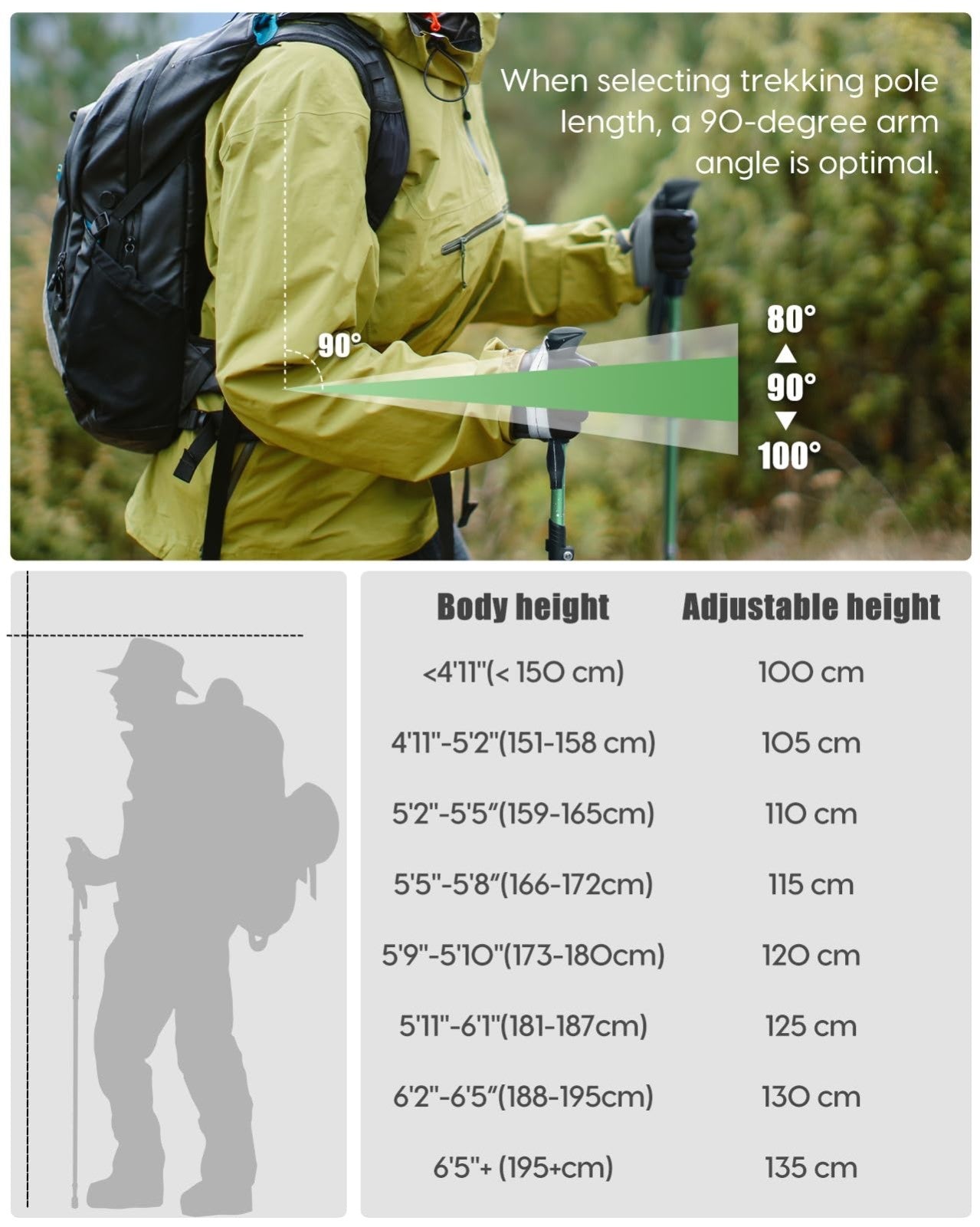 Collapsible Trekking Poles - Lightweight Aluminum Walking Sticks for Hiking, Cam5
