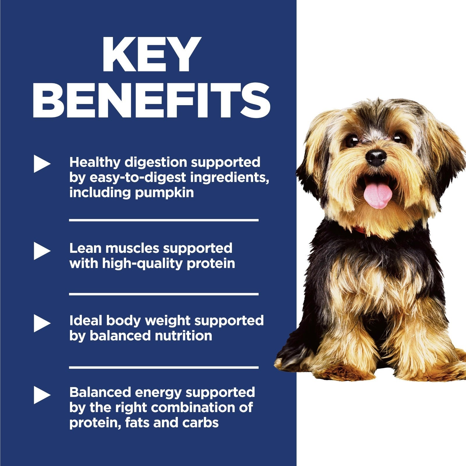 Premium Small & Mini Dry Dog Food for Adults 1 6 Years   Healthy Nutrition & Tas3