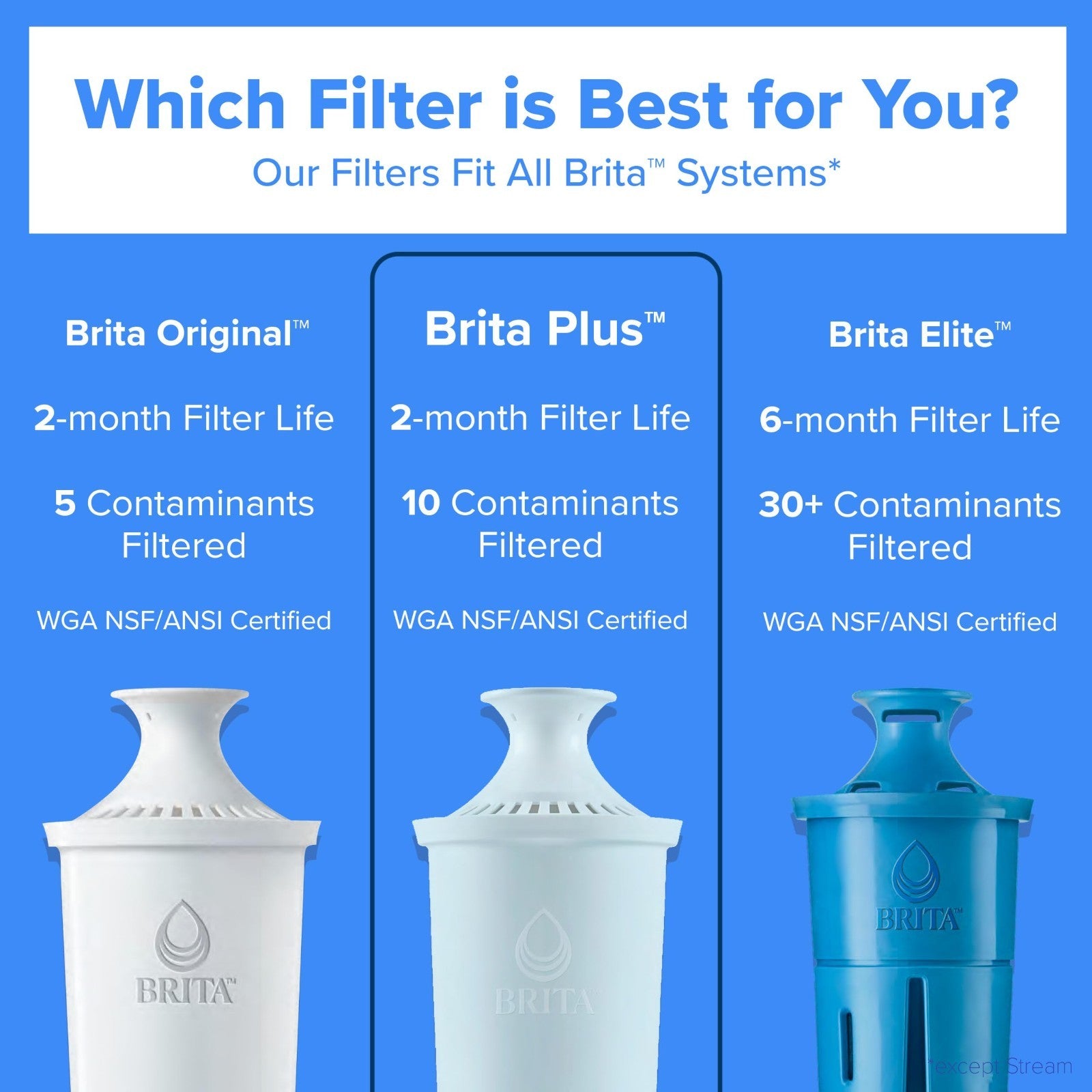 6 Cup Water Filter Pitcher with 1 Filter   Reduces Chlorine, Copper, Mercury & C10