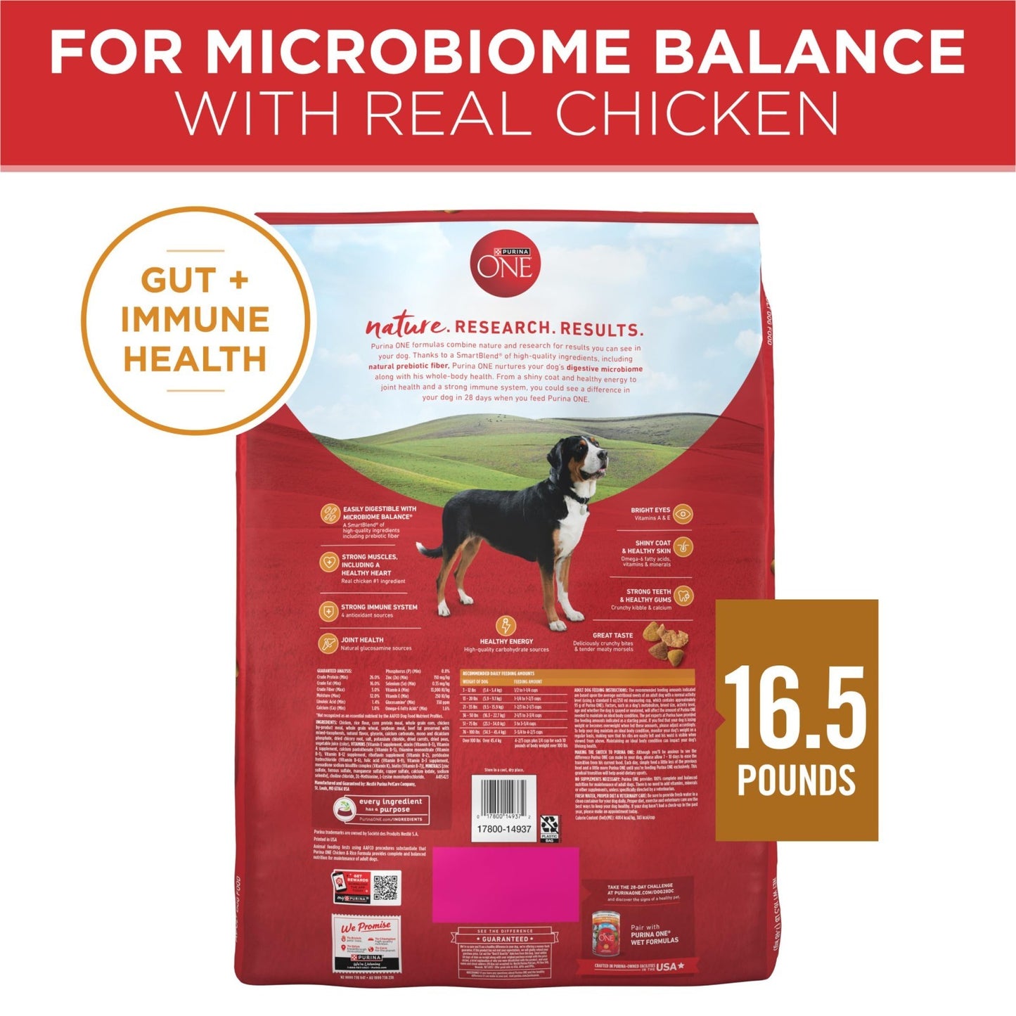 High Protein Chicken & Rice Dry Dog Food, 16.5 lb Bag, Healthy Nutrition for Dog8