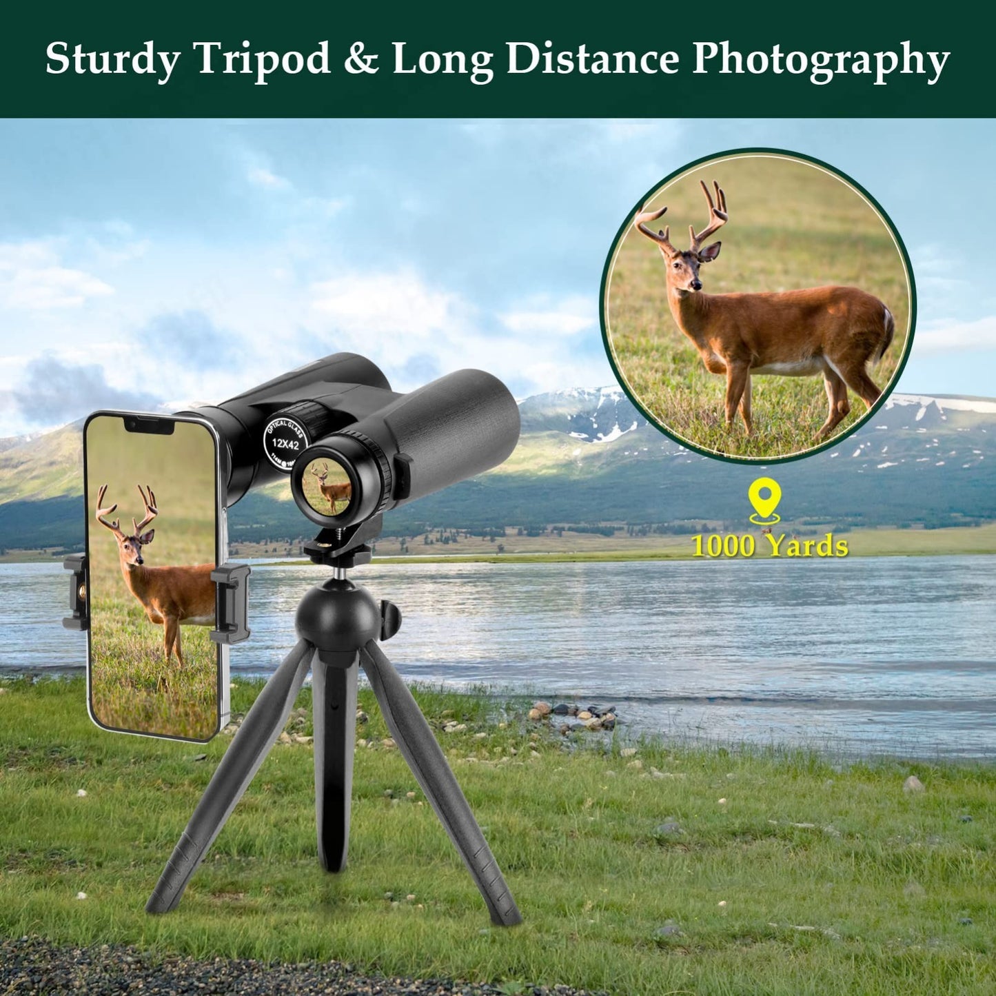High-Powered 12x42 HD Binoculars with Phone Adapter & Tripod - Clear Low Light V3