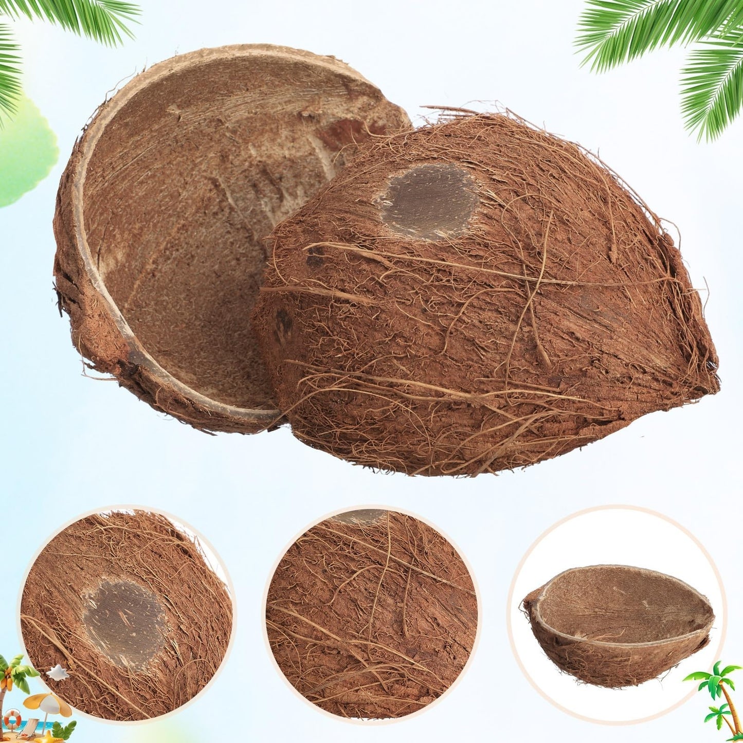 24 Pcs Natural Coconut Shell Bowl Halves - Smooth Bottom Craft Material & Decor2