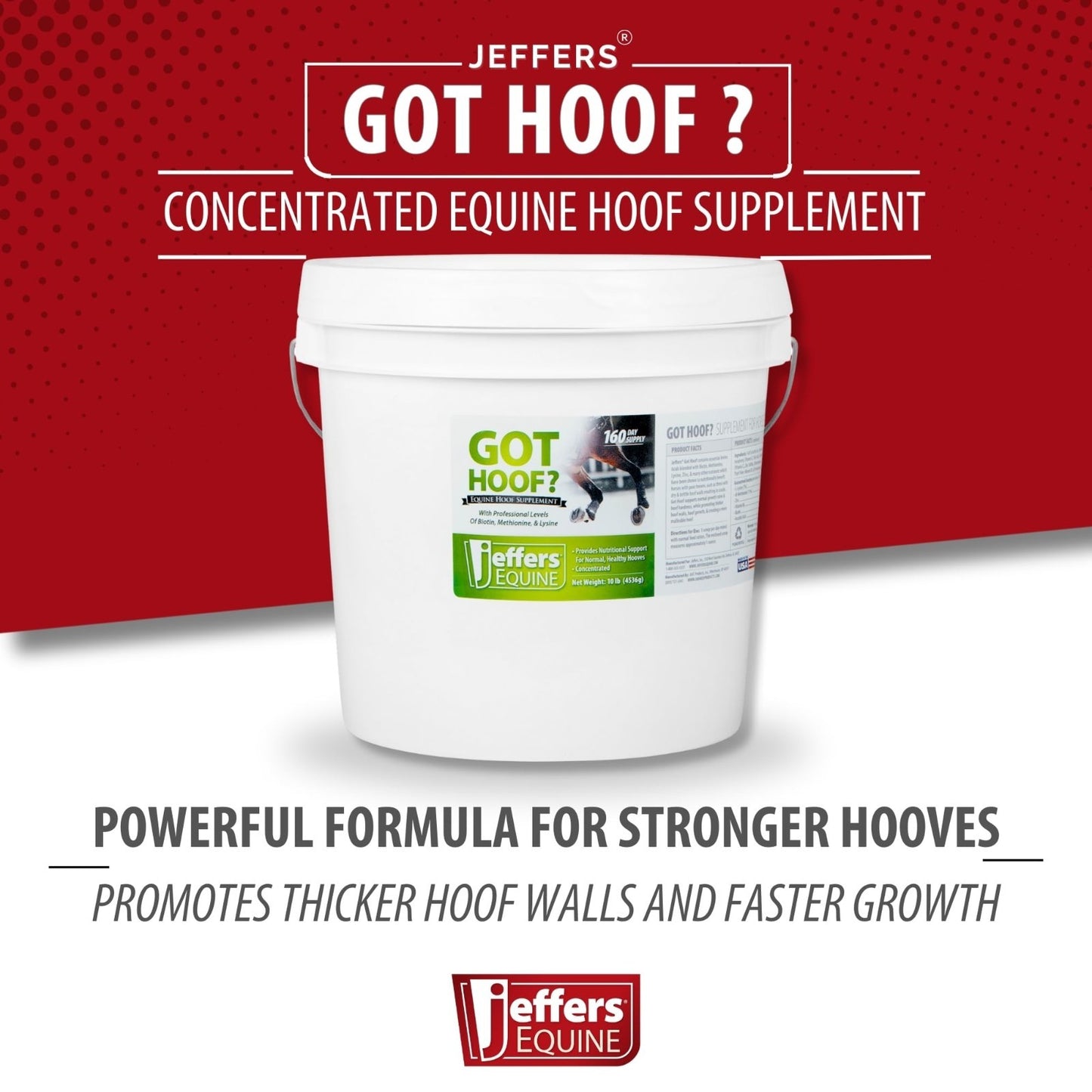 Concentrated Horse Hoof Supplement Powder, 10 lbs - Biotin, Zinc, Amino Acids fo3