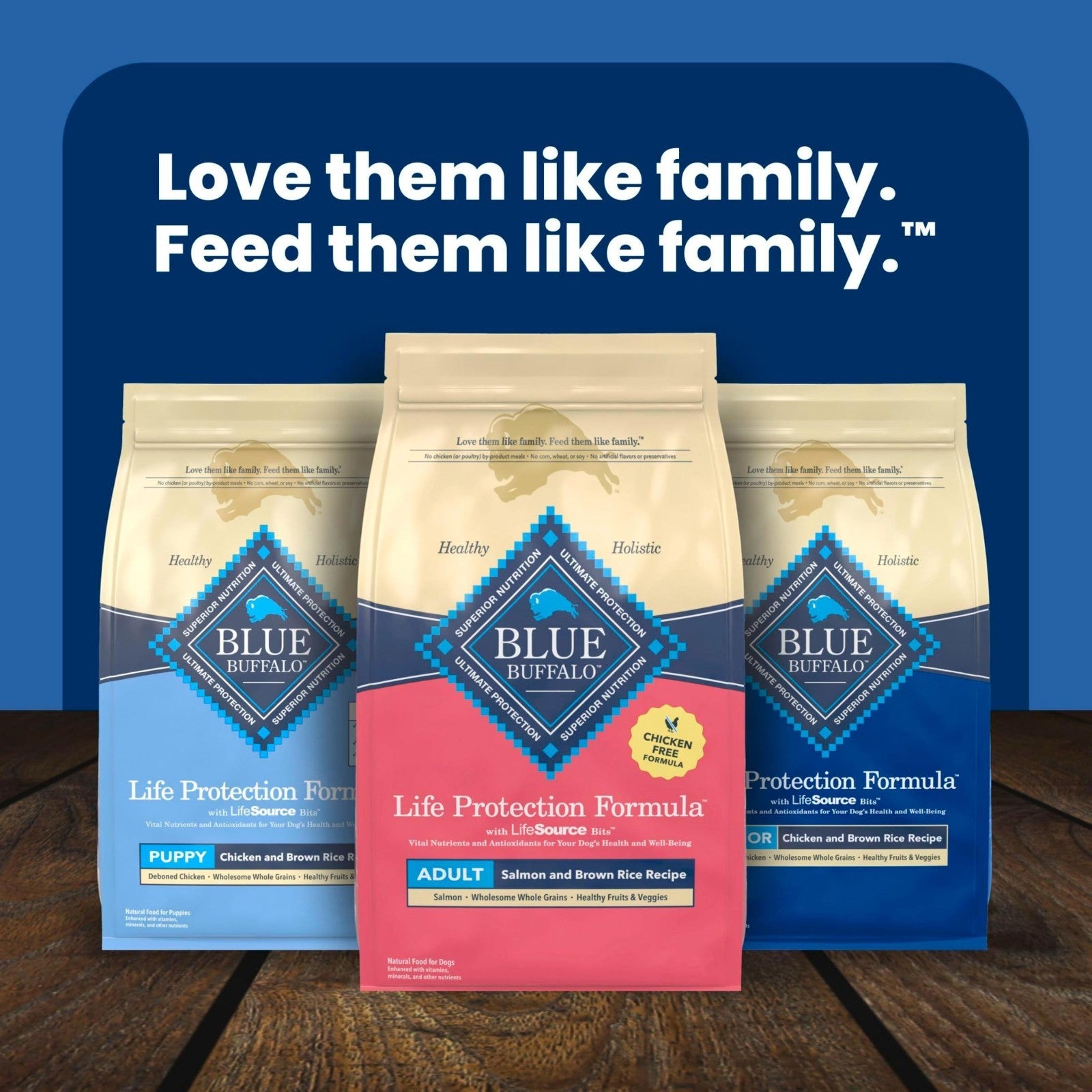 Premium Salmon Adult Dry Dog Food   5 lb, Life Protection Formula, Healthy Nutri8