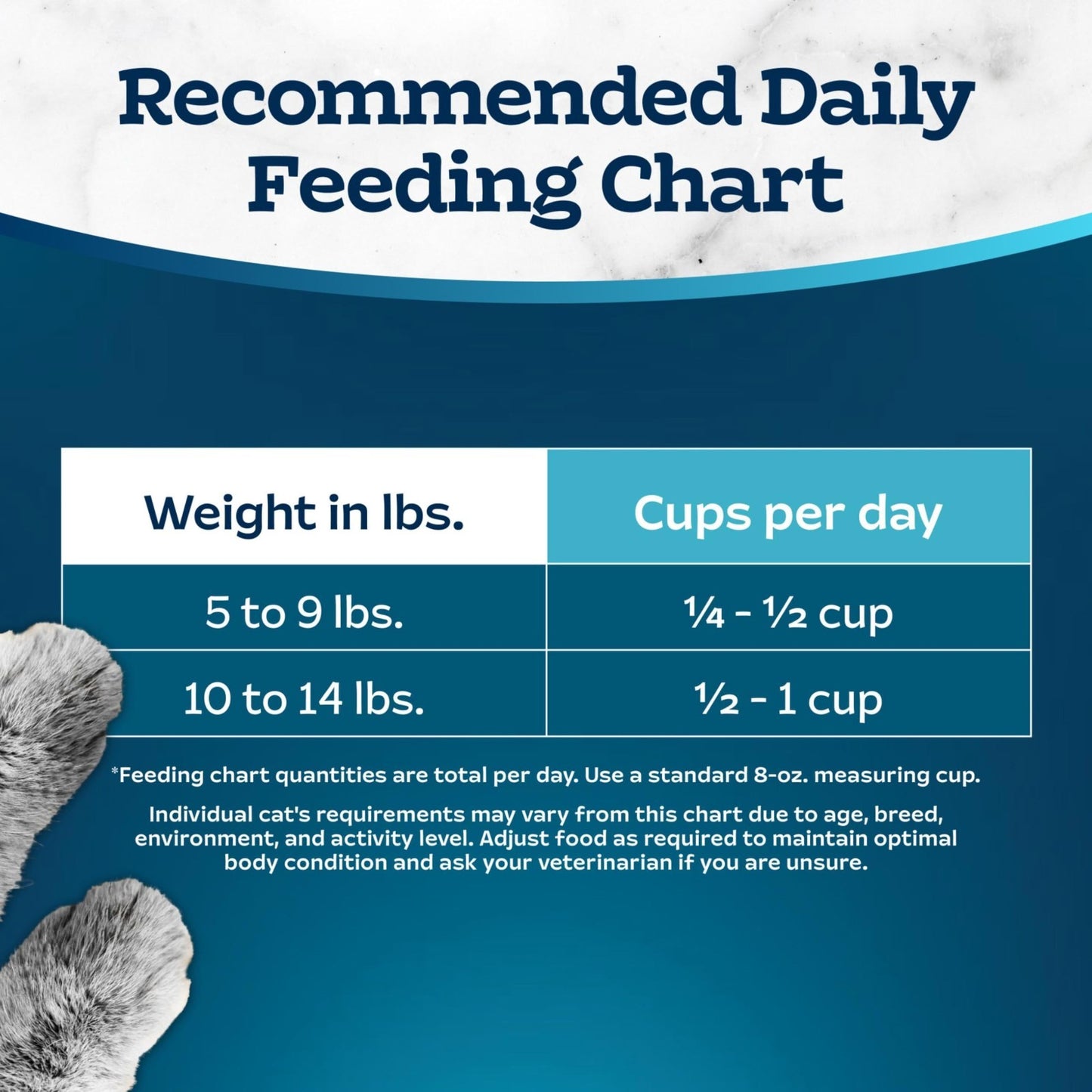 Premium Chicken & Brown Rice Dry Cat Food, 3 lb   Healthy Nutrition for Active C9