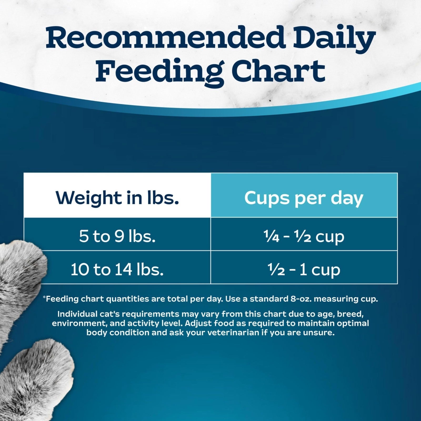 Premium Chicken & Brown Rice Dry Cat Food, 3 lb   Healthy Nutrition for Active C9
