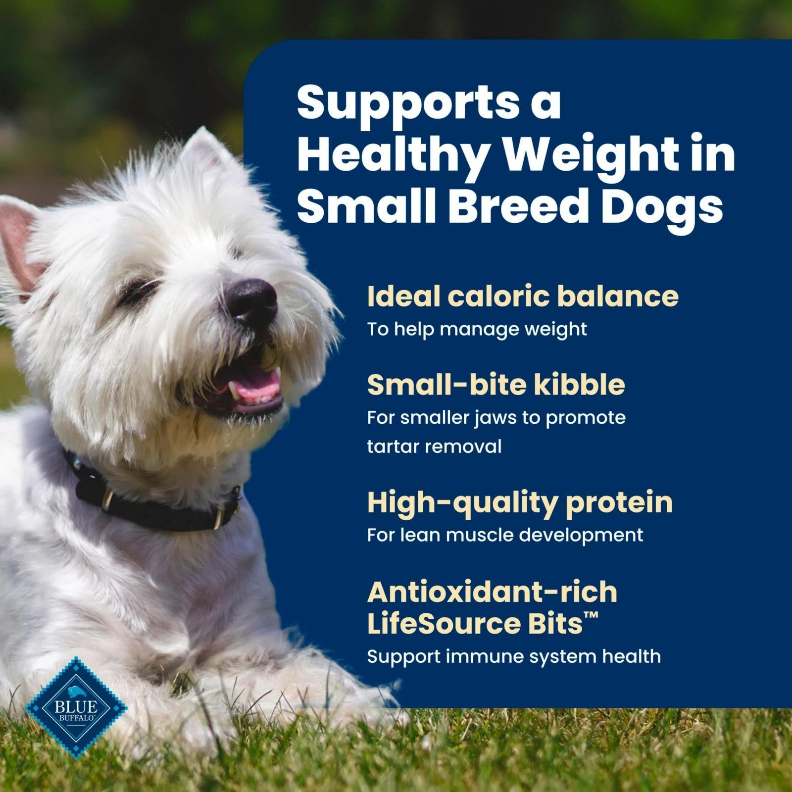 Healthy Weight Small Dog Food   Blue Buffalo Life Protection, 5 lb, Grain Free,3