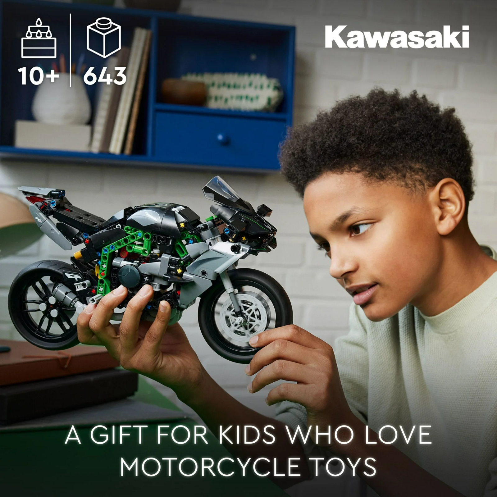 LEGO Technic Kawasaki Ninja H2R Motorcycle Display Toy 42170 Building Set New0