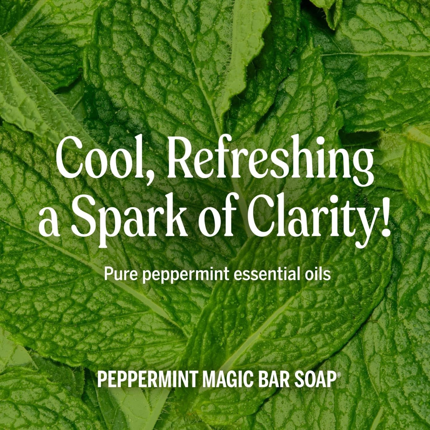Peppermint Liquid Soap 8 oz - 18-in-1 Multi-Purpose Body Wash, Shampoo, Hand Soa4