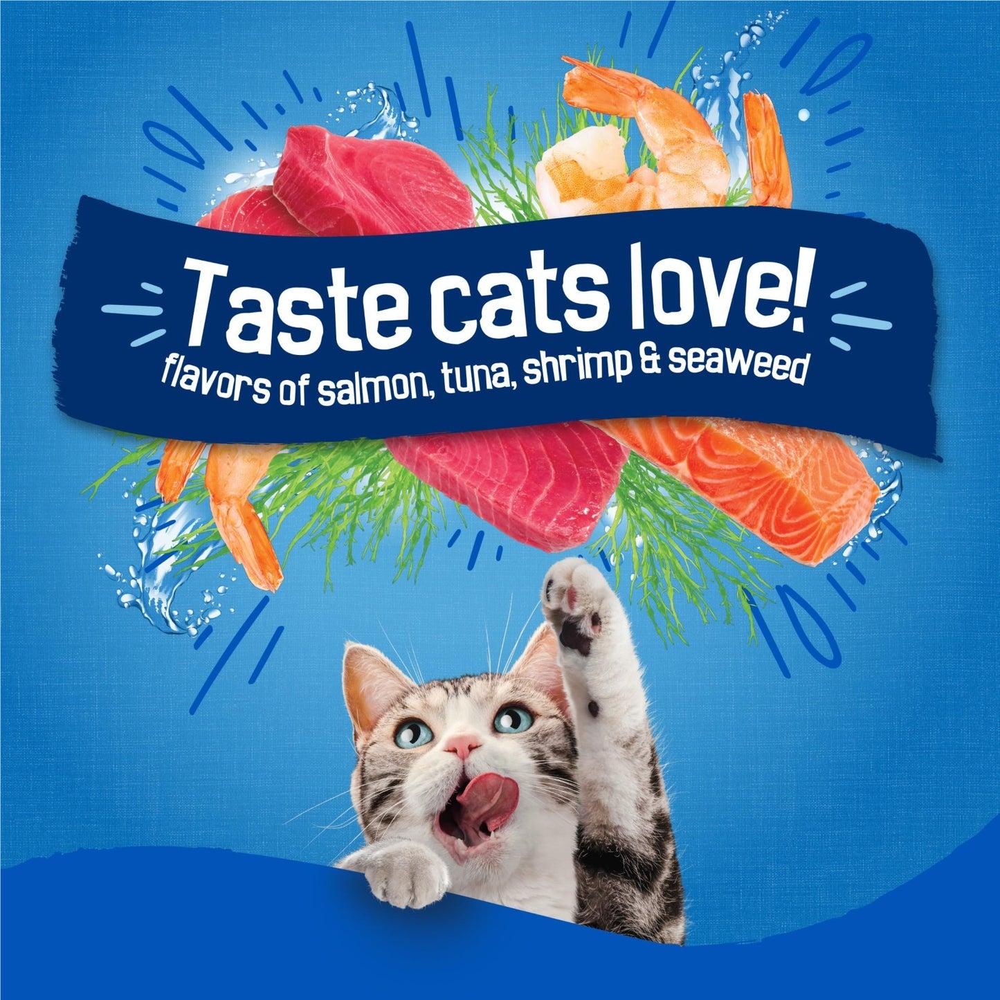 Seafood Sensations Dry Cat Food   Salmon, Tuna & Shrimp Flavors   4 Pack (3.15 l3