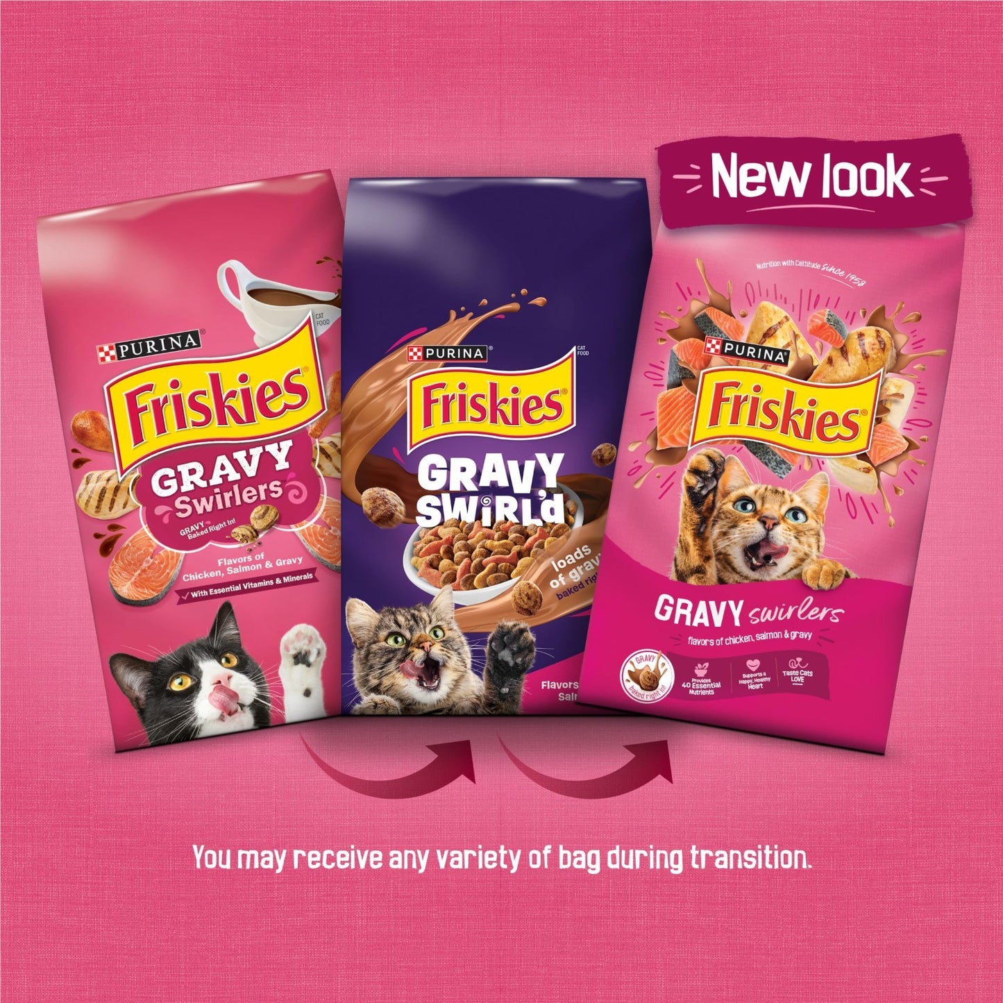 Savory Gravy Swirlers Dry Cat Food   Chicken & Salmon Flavor   22 lb Bag2
