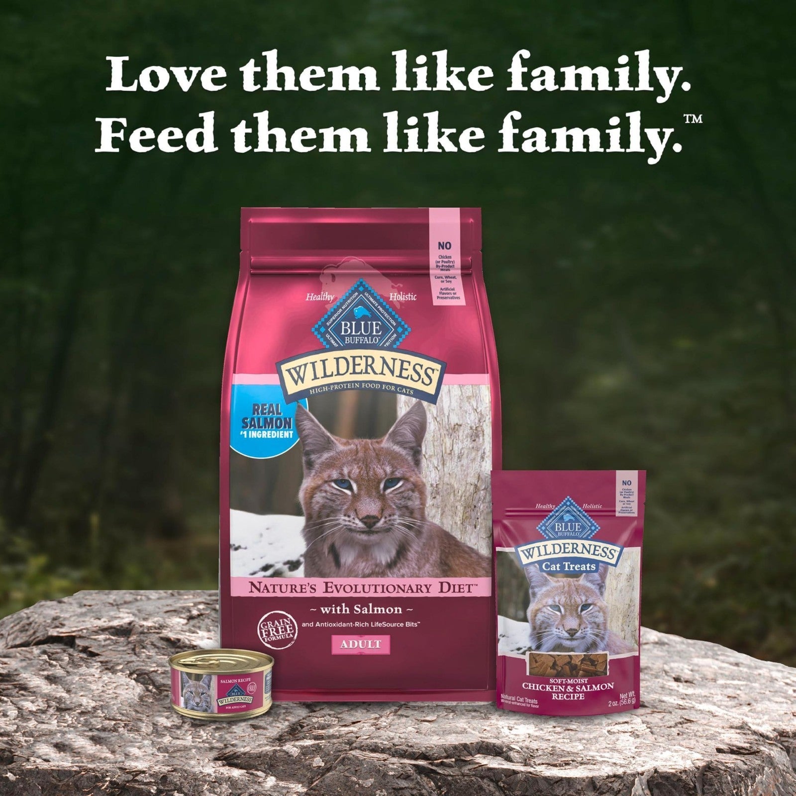 Grain Free Salmon Adult Dry Cat Food, High Protein, 15 lb   Natural & Healthy Di9