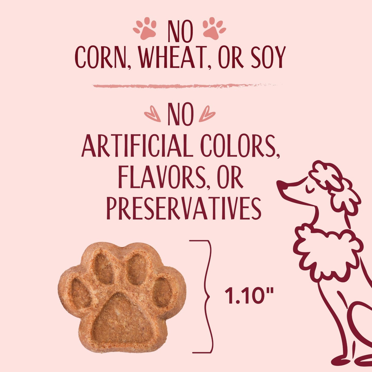 Healthy Salmon & Sweet Potato Dog Treats 8oz | Crunchy Biscuits for All Dogs, Lo6