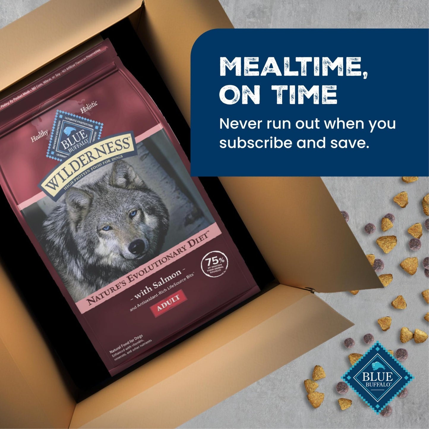 Grain Free Salmon & Wholesome Grains Adult Dry Dog Food, 24 lb   High Protein, N8