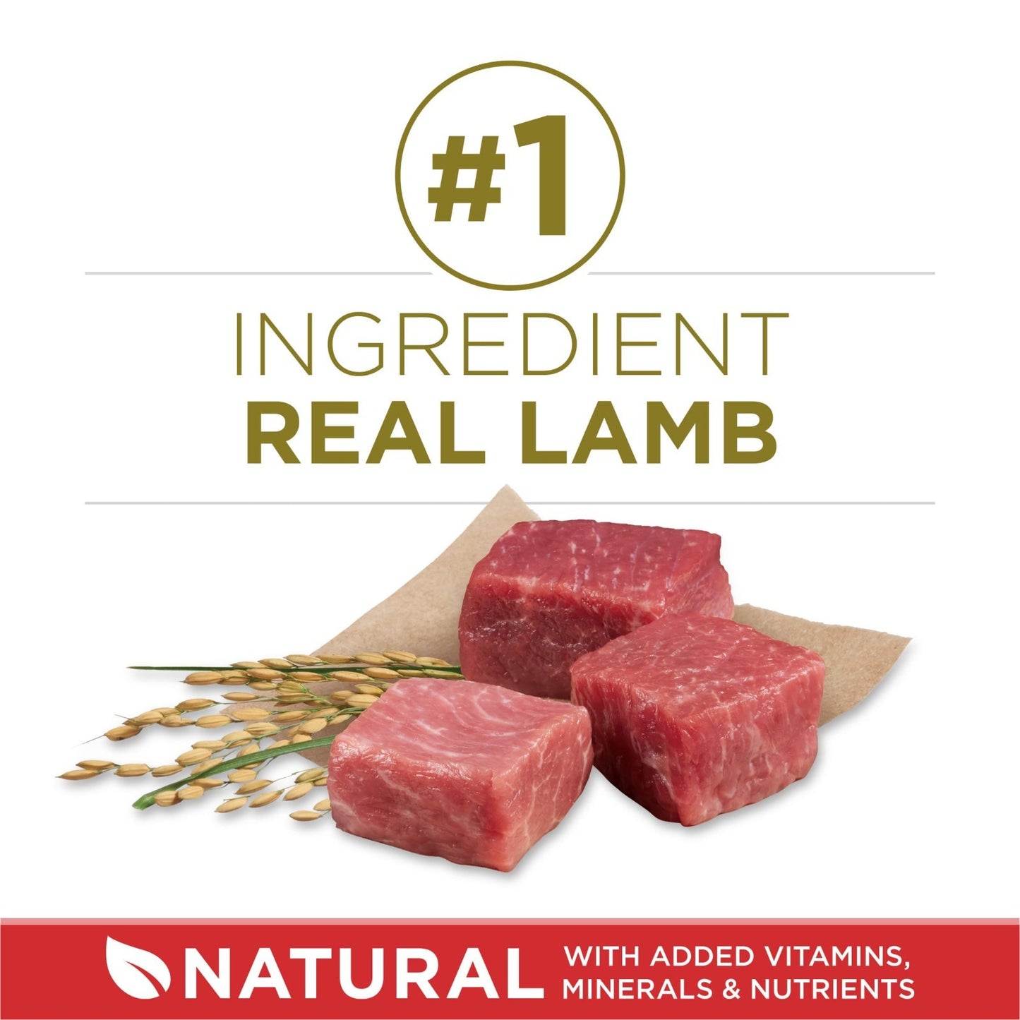 Premium Dry Dog Food   Lamb & Rice Formula, 4 Pack, 4 lb. Bags   Healthy Nutriti3