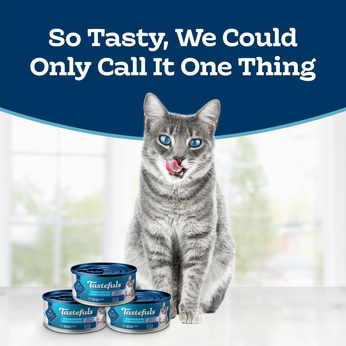 Natural Tender Morsels Wet Cat Food, Chicken Entrée, 5.5 oz Cans, 24 Pack2