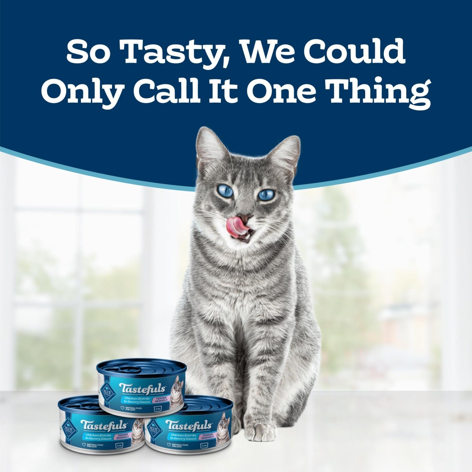 Natural Tender Morsels Wet Cat Food, Chicken Entrée, 5.5 oz Cans, 24 Pack2