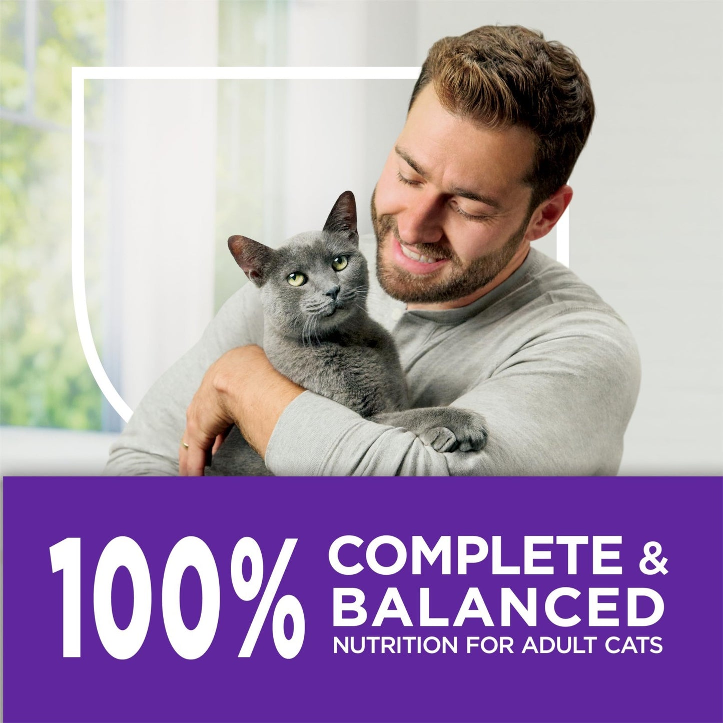 Sensitive Stomach & Skin Dry Cat Food, 13 lb Bag   Gentle Formula for Cats8