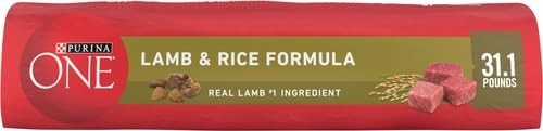 High Protein Lamb & Rice Dry Dog Food, 31.1 lb Bag, Healthy Nutrition for Dogs3