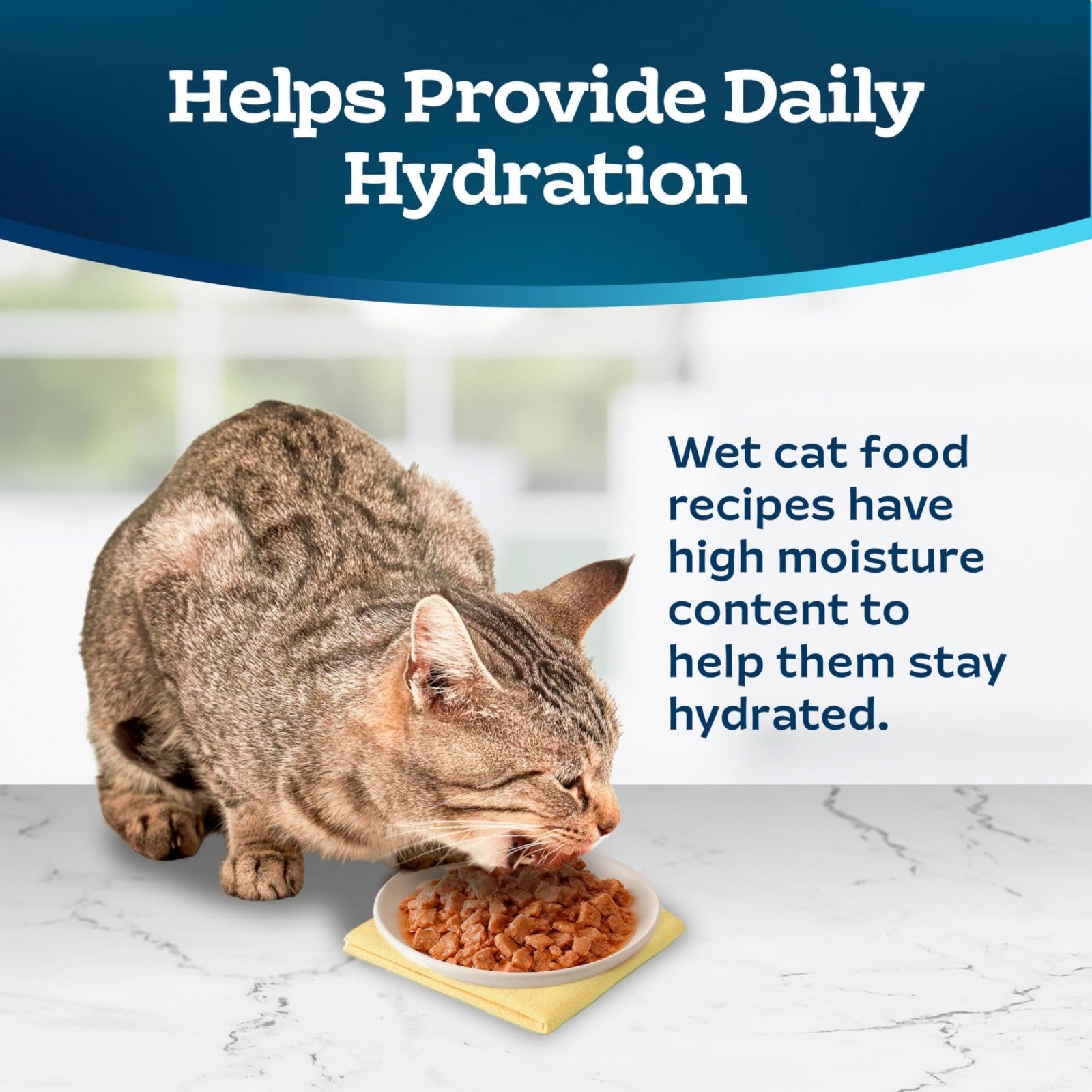 Flaked Wet Cat Food with Fish & Shrimp, 3 oz Cups, 24 Pack, Grain Free, High Pro6
