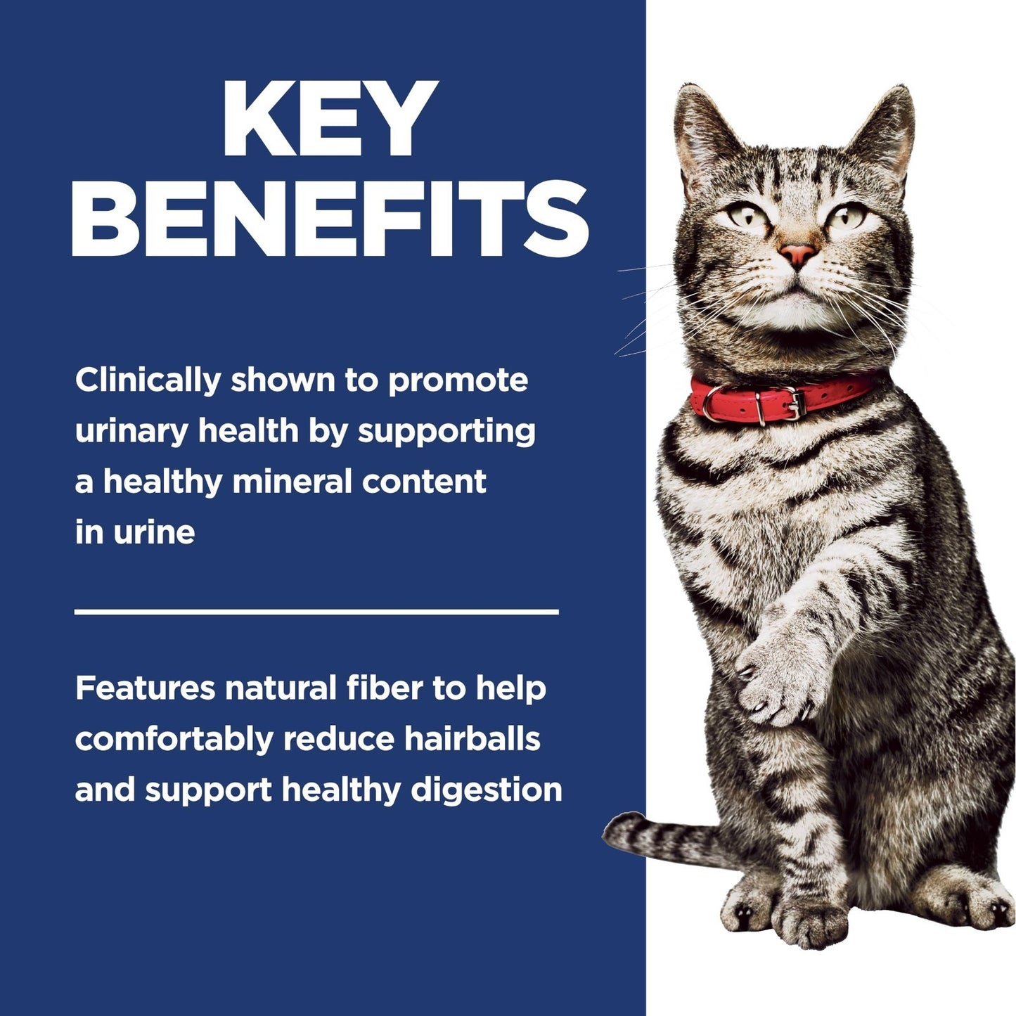 Adult Urinary & Hairball Control Dry Cat Food   Healthy Nutrition for Cats2