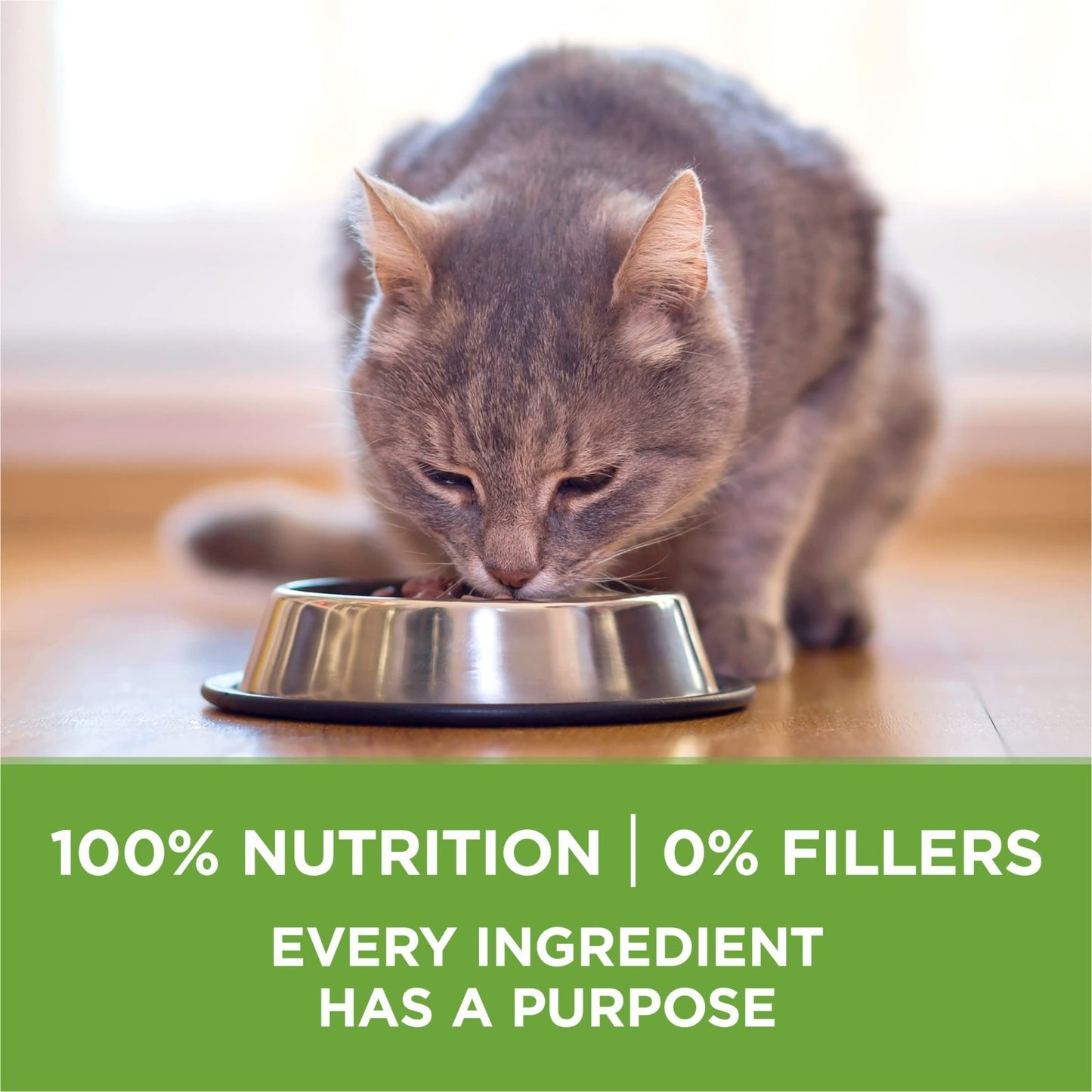 Indoor Advantage Weight Control Dry Cat Food, 7 lb   Healthy Nutrition for Cats7