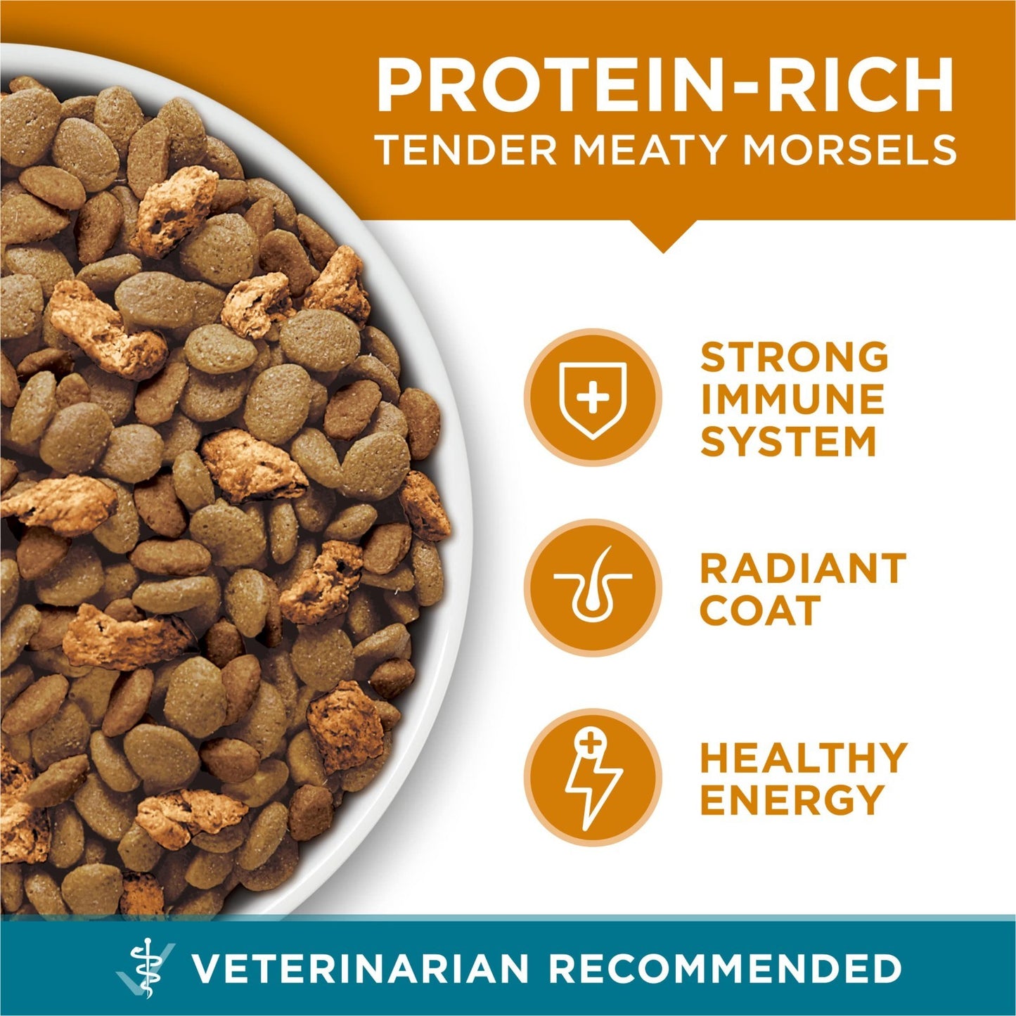 Tender Selects Dry Cat Food, Chicken Flavor, 16 lb Bag   High Protein, Grain Fre6