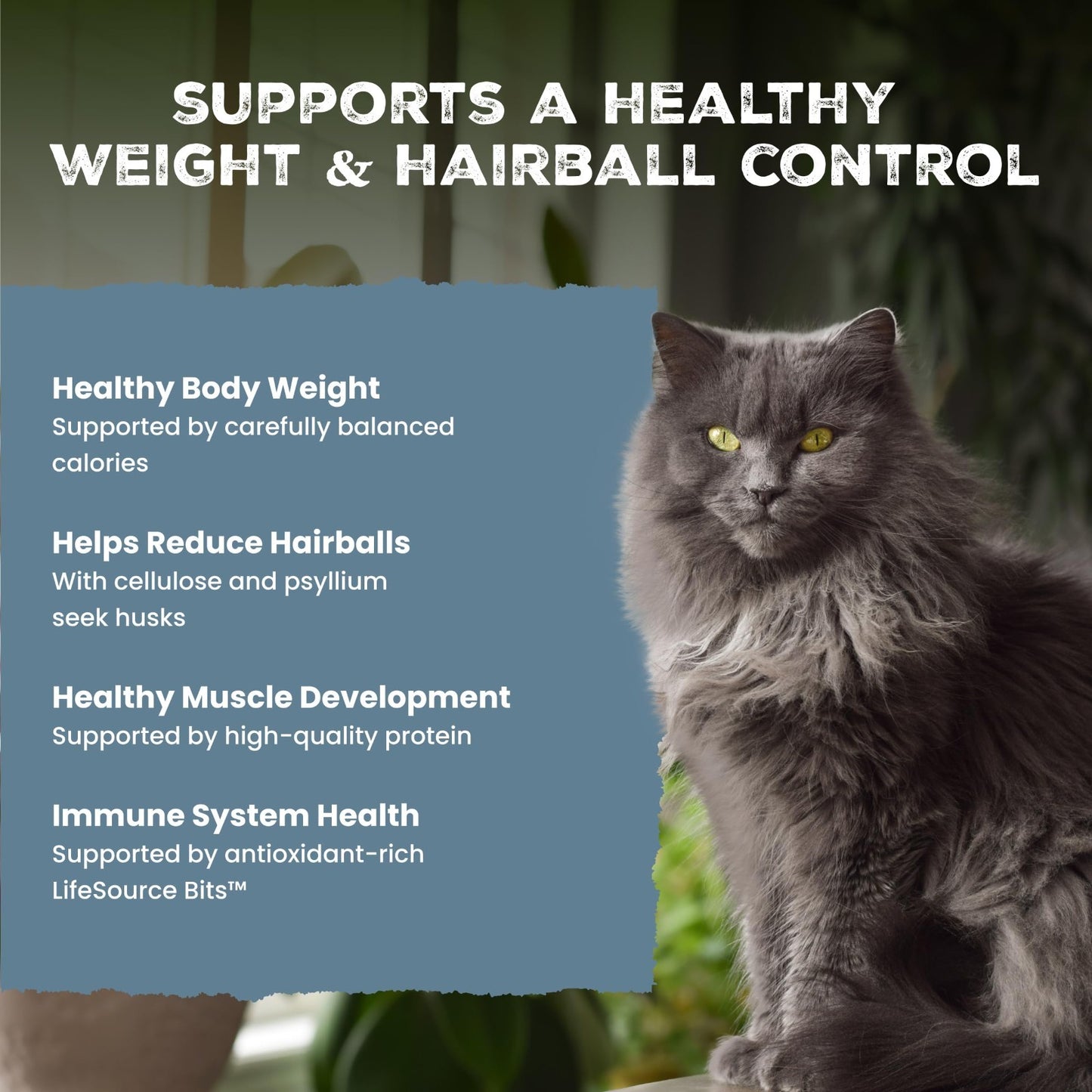 Wilderness Indoor Hairball & Weight Control Dry Cat Food 11lb   Grain Free, High4