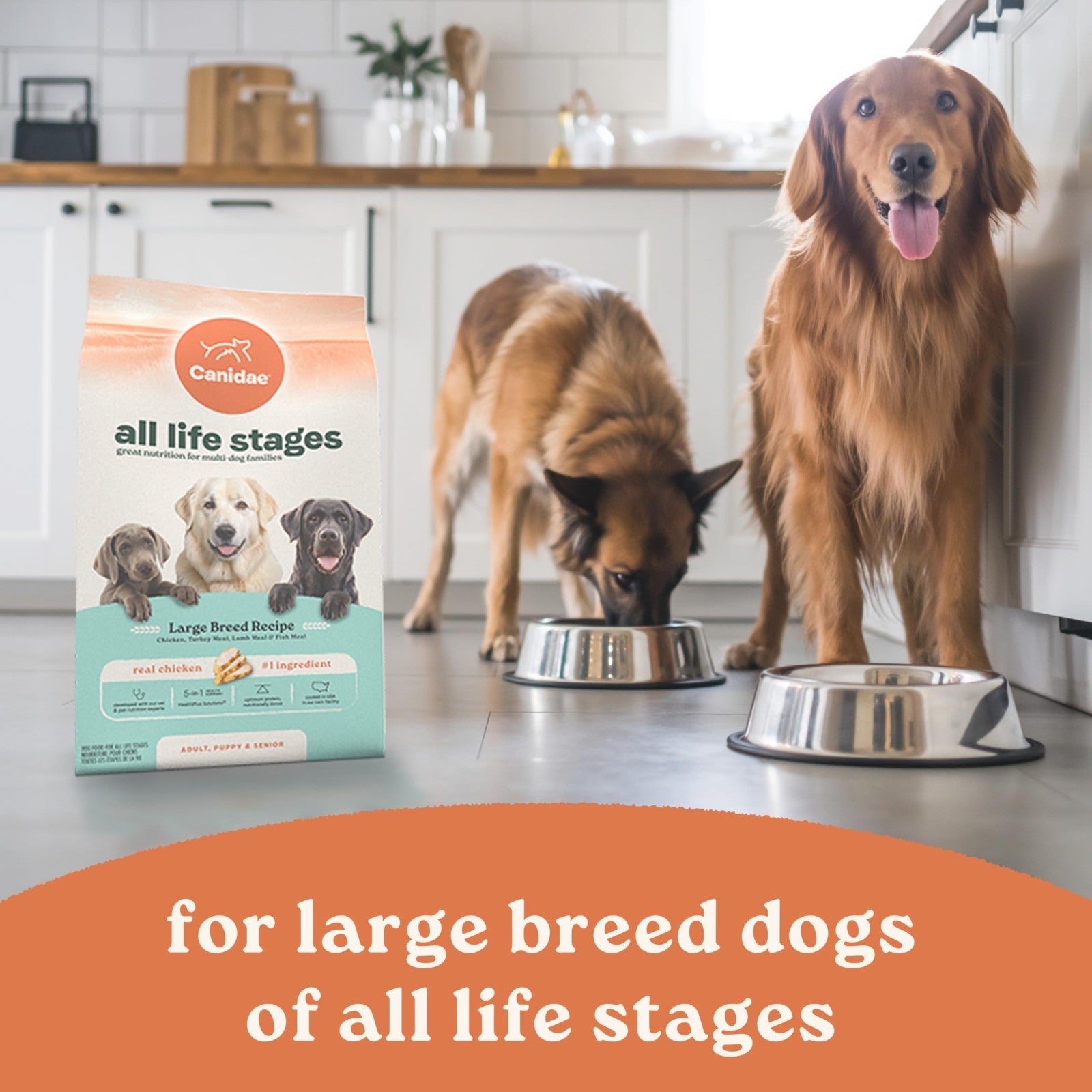 Premium All Life Stages Large Breed Dog Food   Chicken, Turkey, Lamb & Fish 40 l3