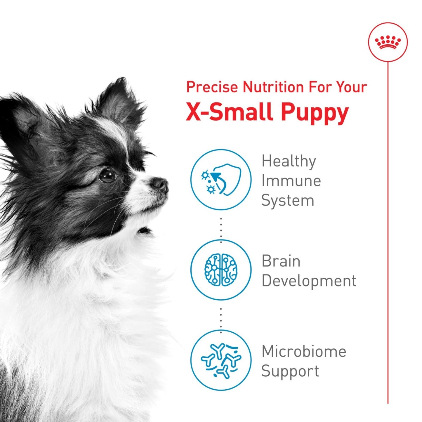 X-Small Puppy Dry Dog Food, 14 lb Bag - Size Health Nutrition for Small Breeds3