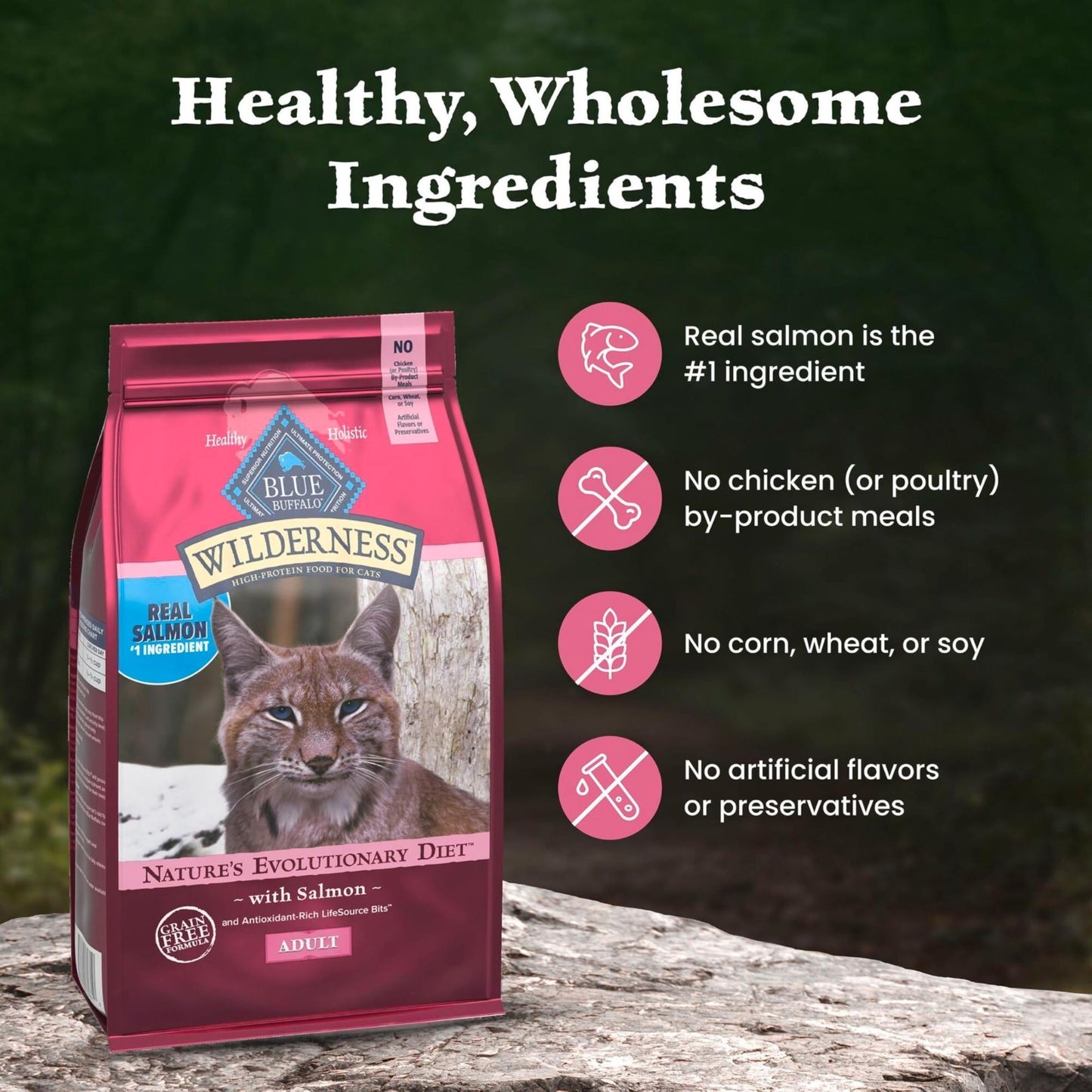 Grain Free Salmon Adult Dry Cat Food, High Protein, 15 lb   Natural & Healthy Di5