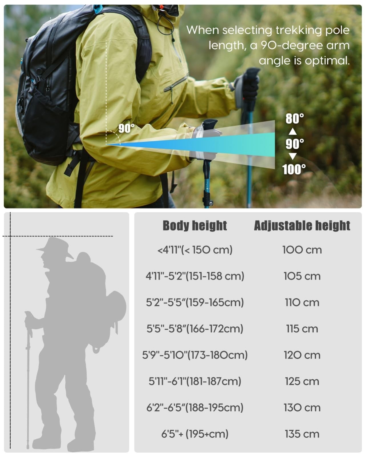 Collapsible Trekking Poles - Lightweight Aluminum Walking Sticks for Hiking, Cam5