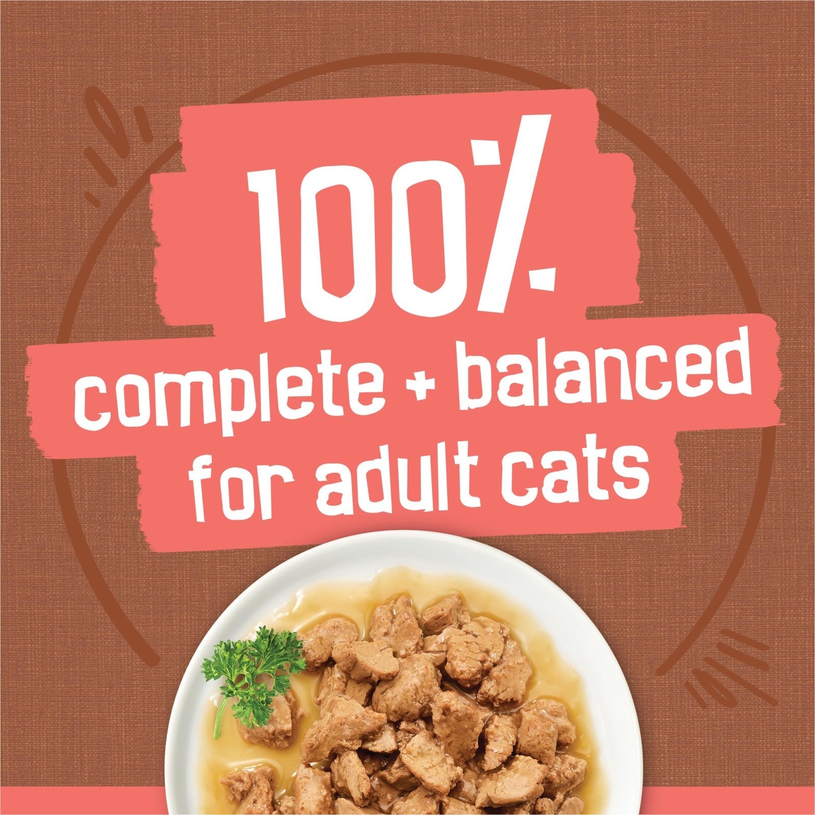 Chunky Wet Cat Food Variety Pack 24ct   Extra Gravy Chicken, Turkey, Salmon, Bee5