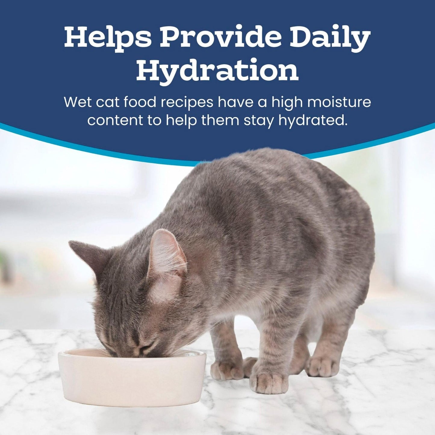 Flaked Wet Cat Food with Fish & Shrimp, 3 oz Cups, 4 Pack   Grain Free, High Pro6