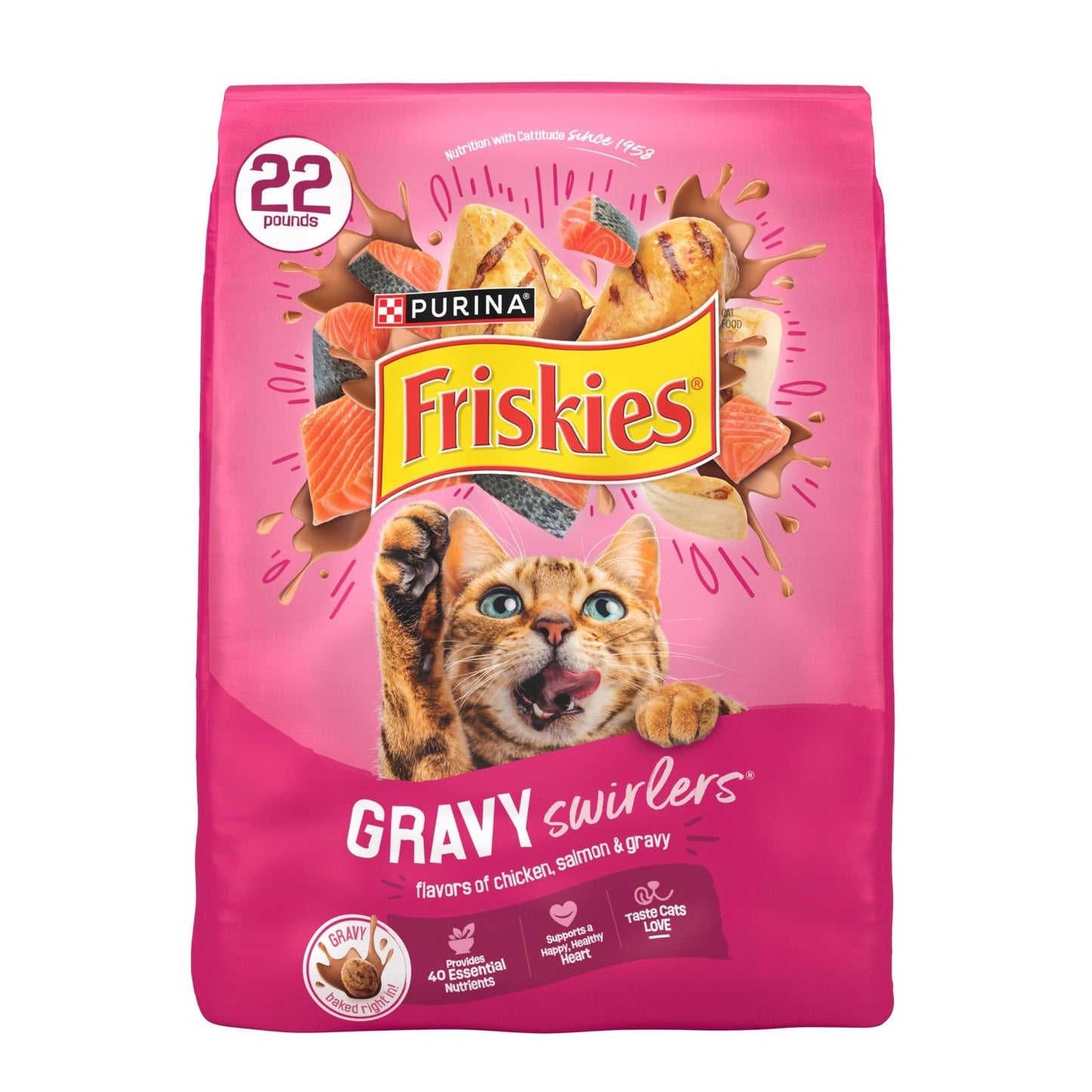 Savory Gravy Swirlers Dry Cat Food   Chicken & Salmon Flavor   22 lb Bag1