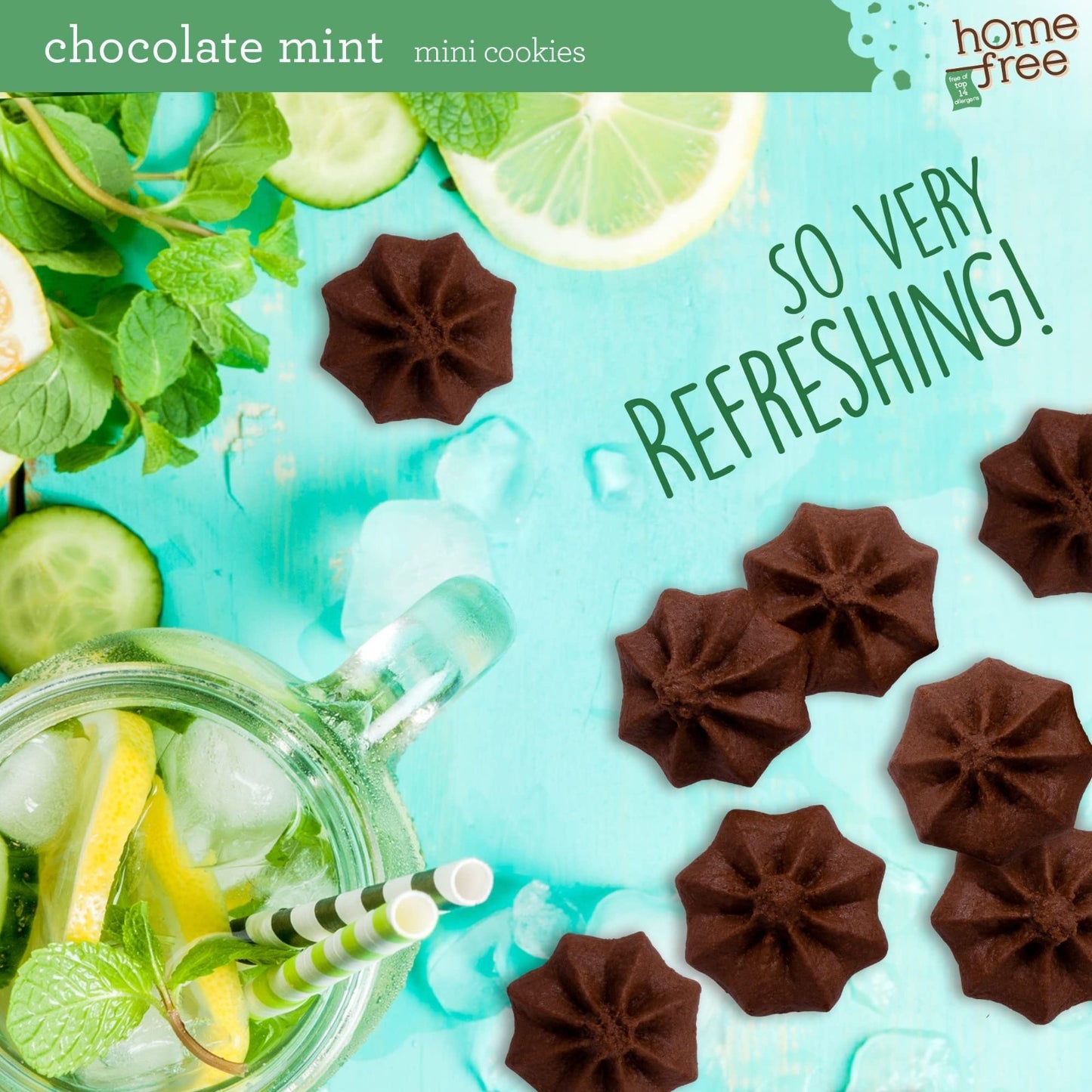 Nut Free Gluten Free Vegan Chocolate Mint Mini Cookies 3 lb Bulk - Allergy Frien3