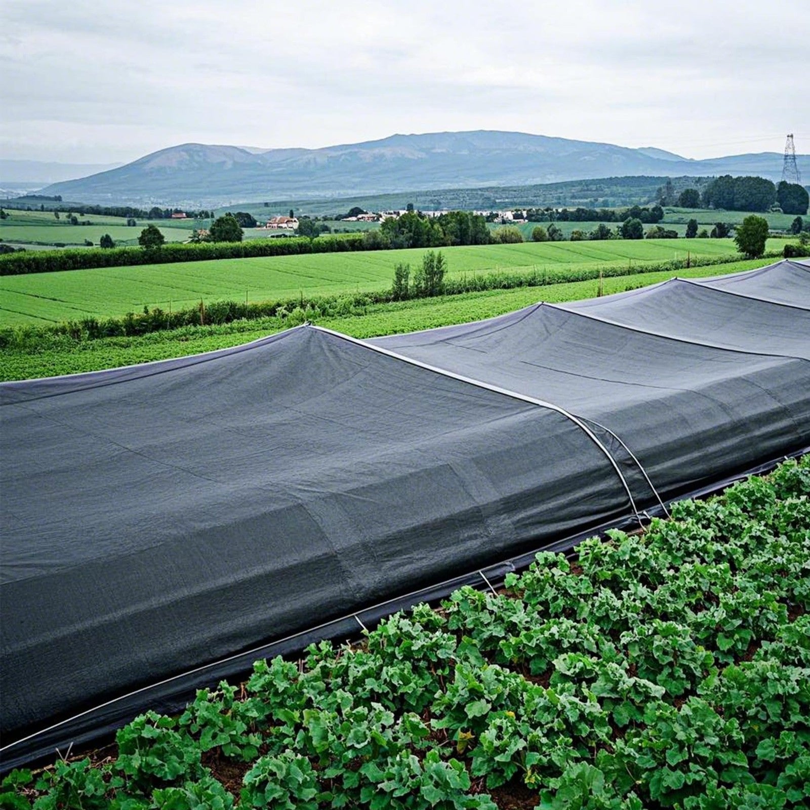 50% Black Shade Cloth 30x50 FT - Garden Mesh Tarp for Greenhouse, Patio, Plants6