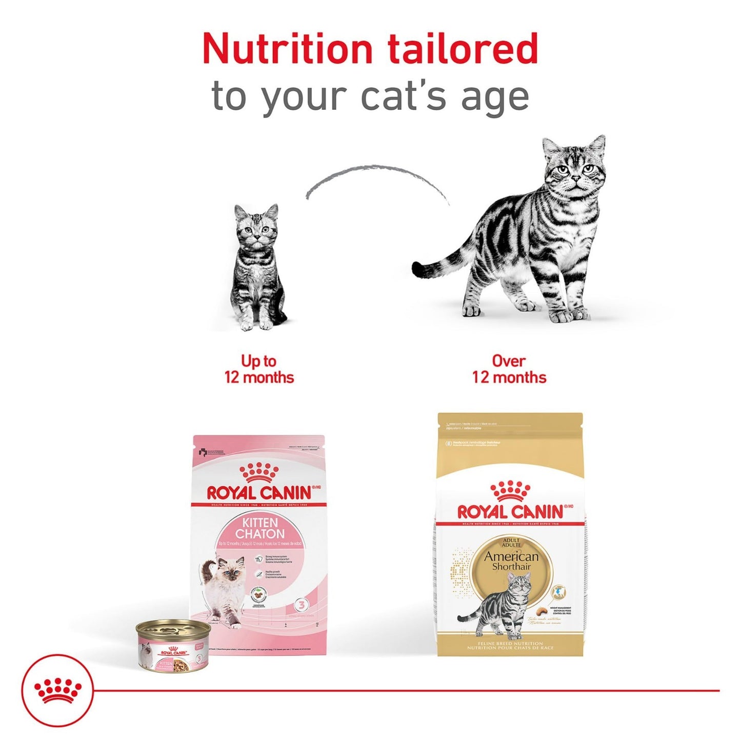 American Shorthair Adult Dry Cat Food, 5.5 lb - Premium Nutrition for Cats5