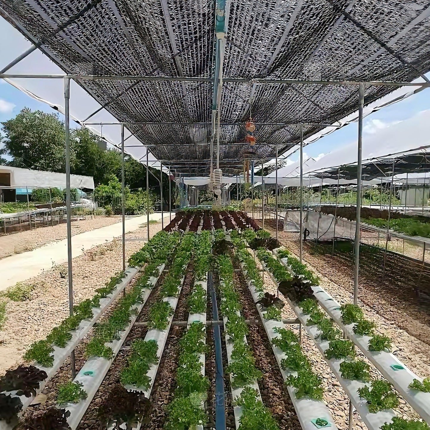 70% Black Shade Cloth 30x50 FT - Garden Mesh Tarp for Greenhouse, Patio, Plants2