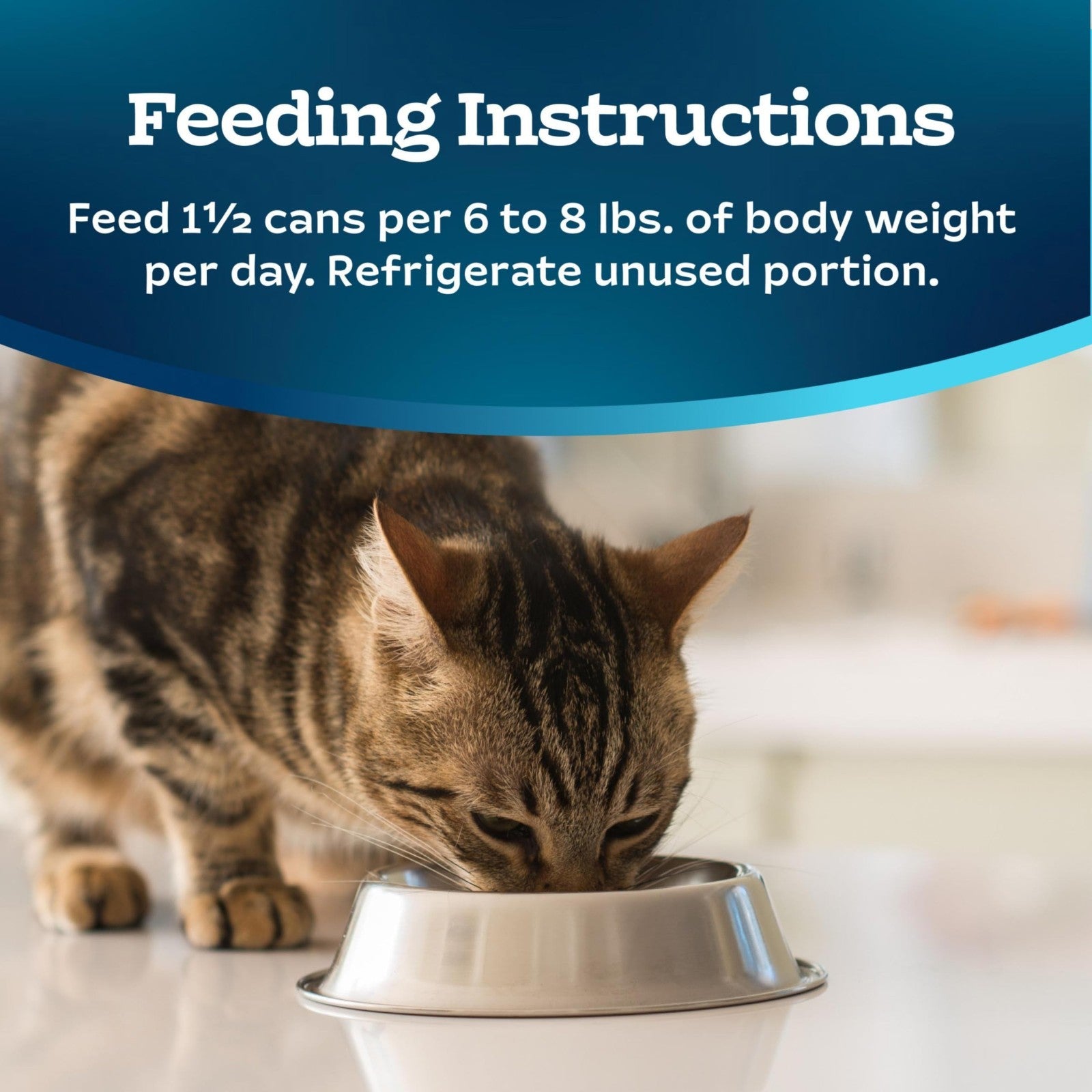 Flaked Wet Cat Food with Fish & Shrimp, 5.5 oz Cans, 24 Pack   Grain Free, High9