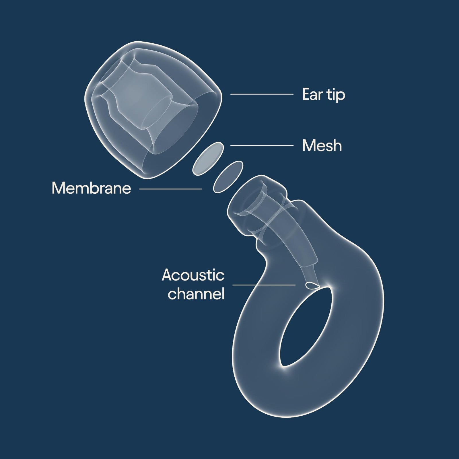 High Fidelity Ear Plugs for Concerts & Festivals | 17dB Noise Reduction, Stylish5